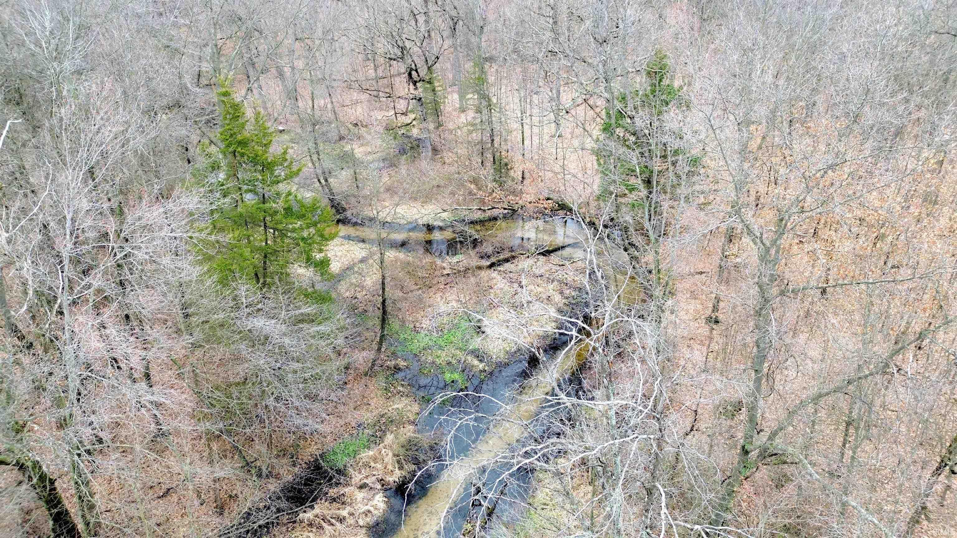 Photo 8 of VL County Road 10