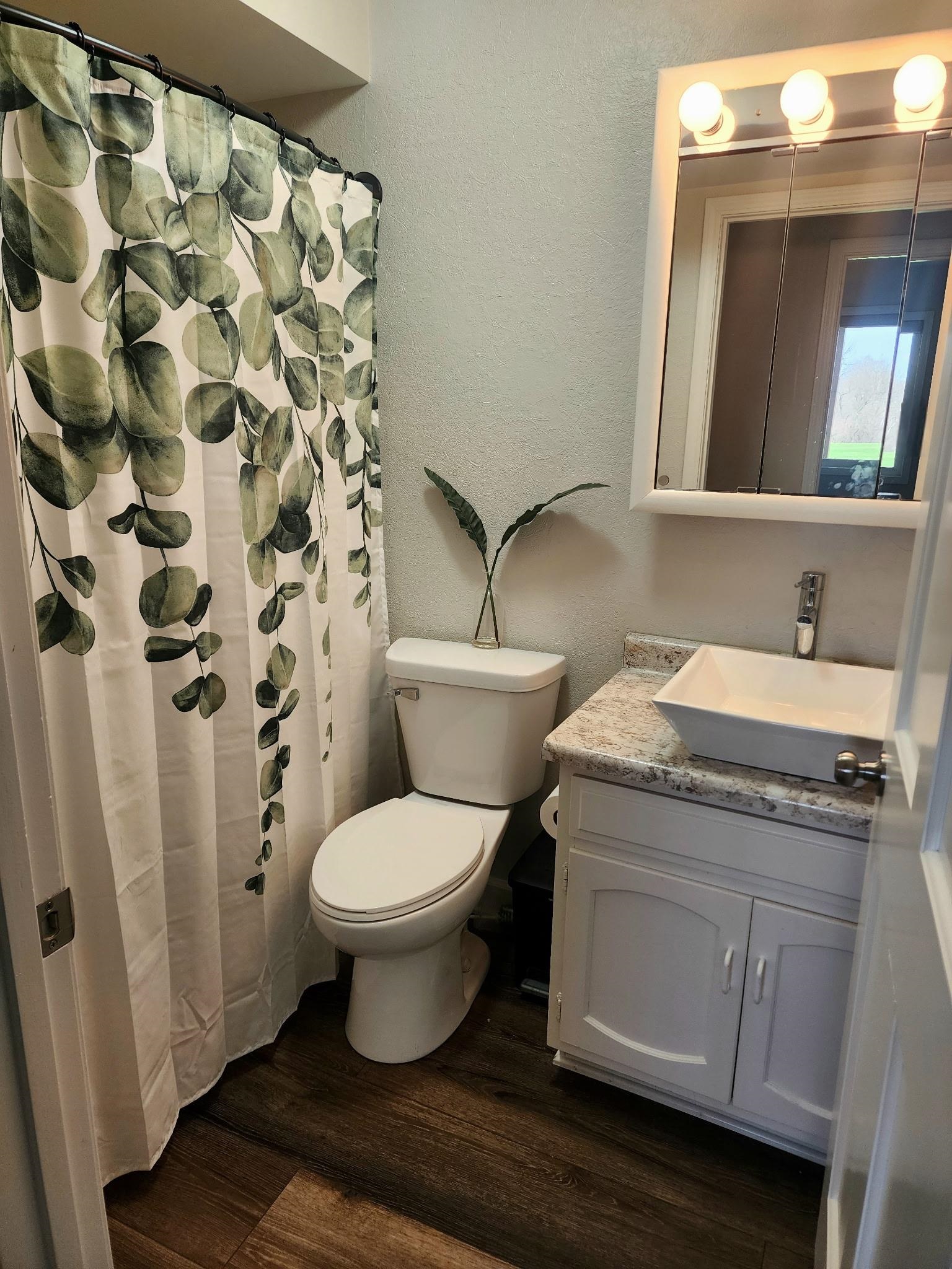 Bathroom featuring a textured wall, vanity, dark wood finished floors, and a shower with curtain