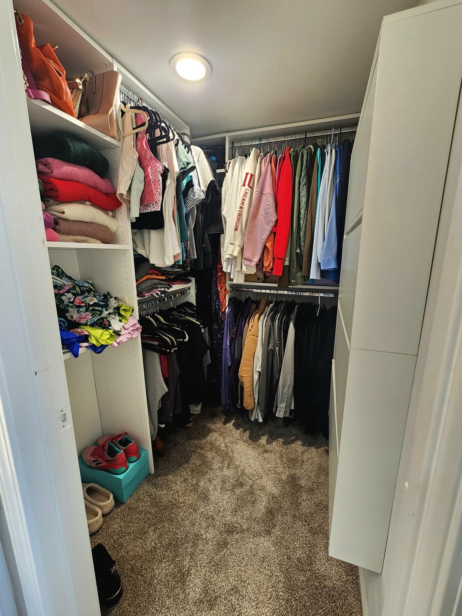 Walk in closet with dark colored carpet