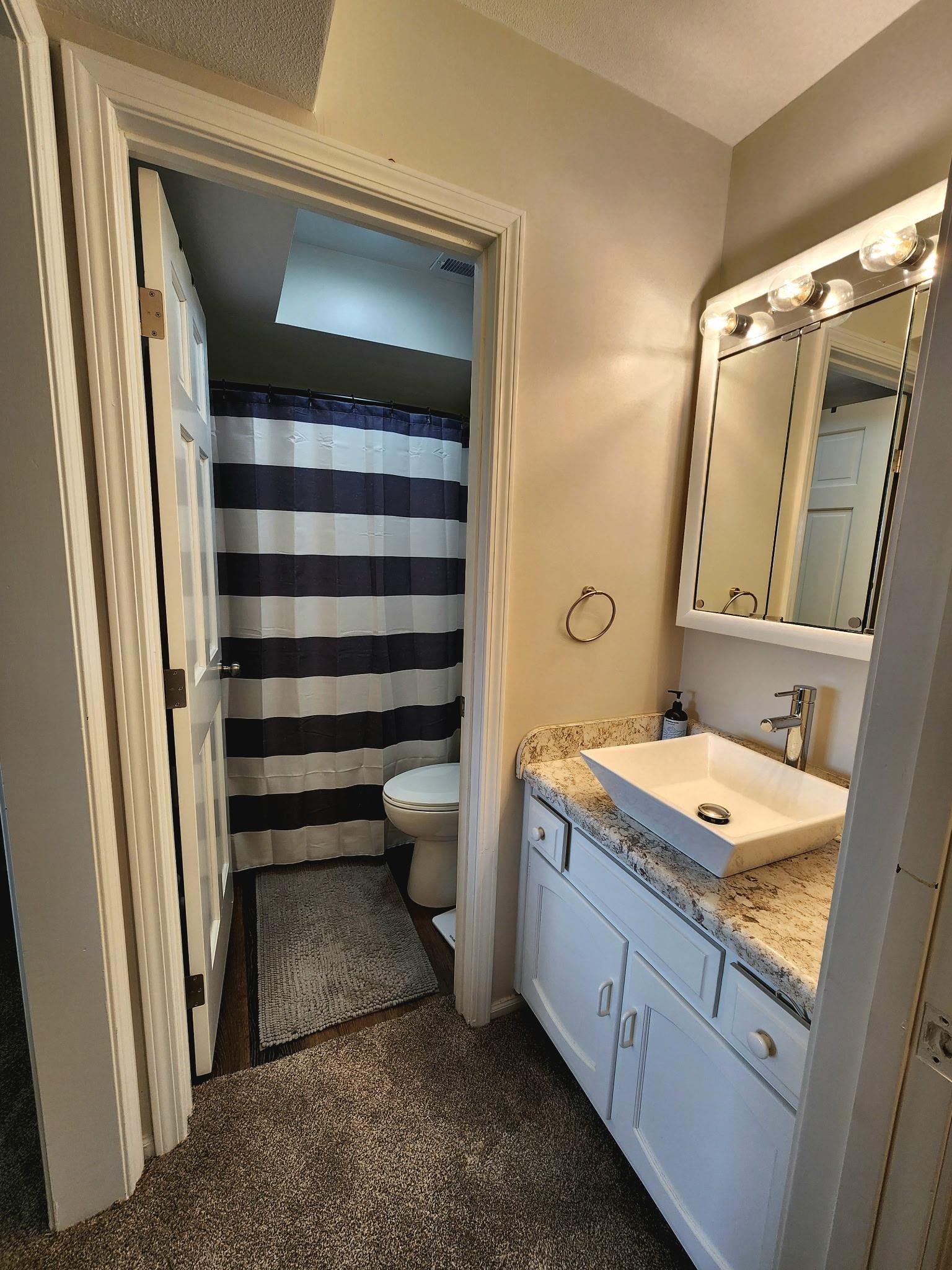 Full bath featuring vanity, a shower with curtain, and dark colored carpet