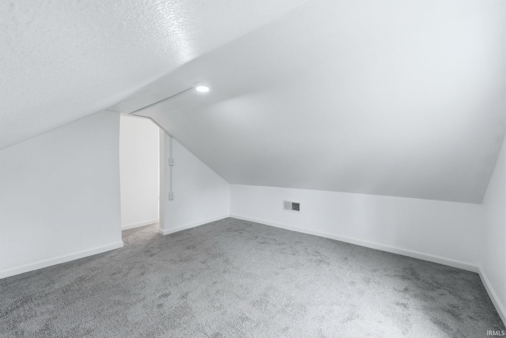 Bonus room with light colored carpet and baseboards