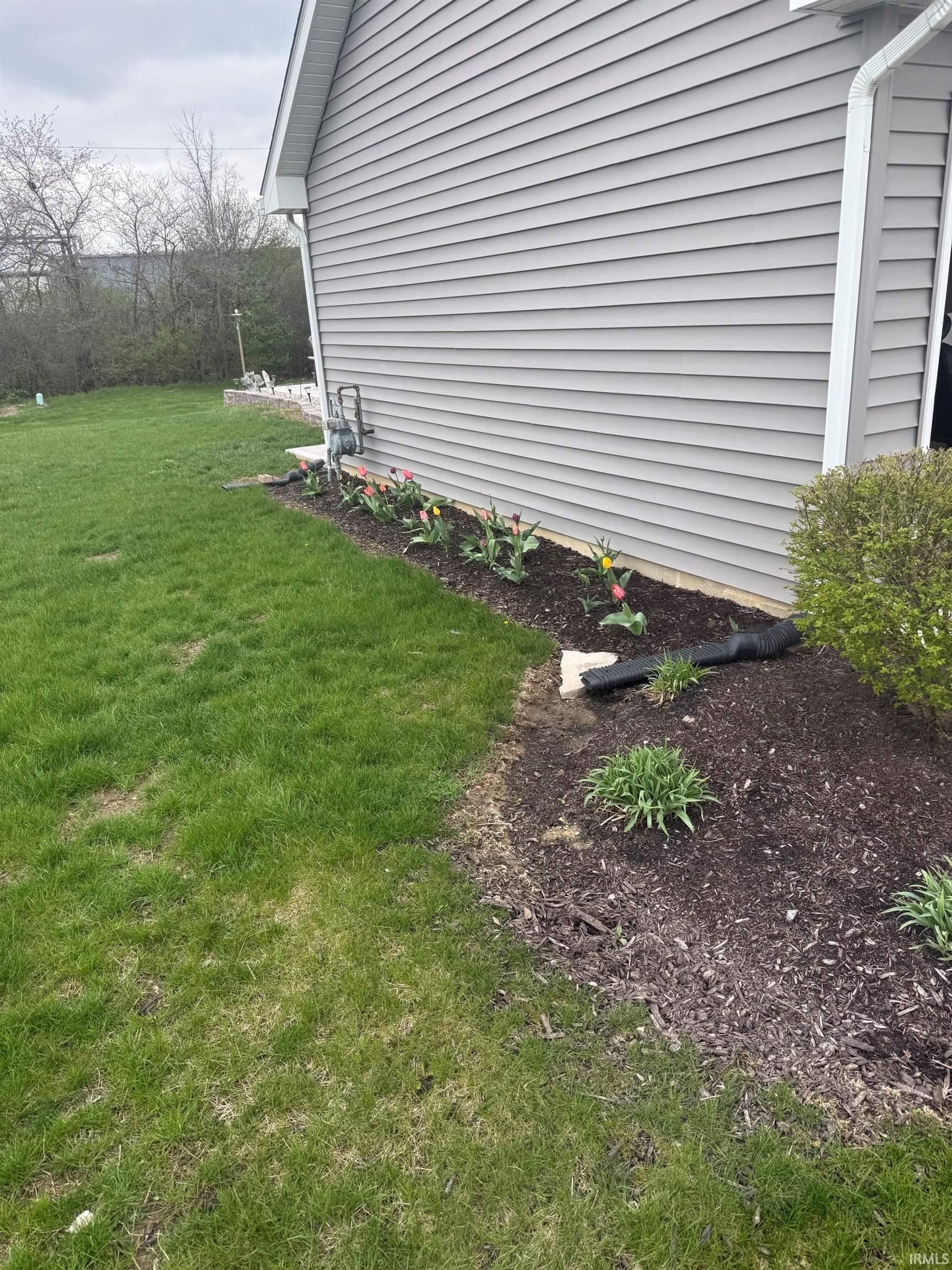 View of grassy yard