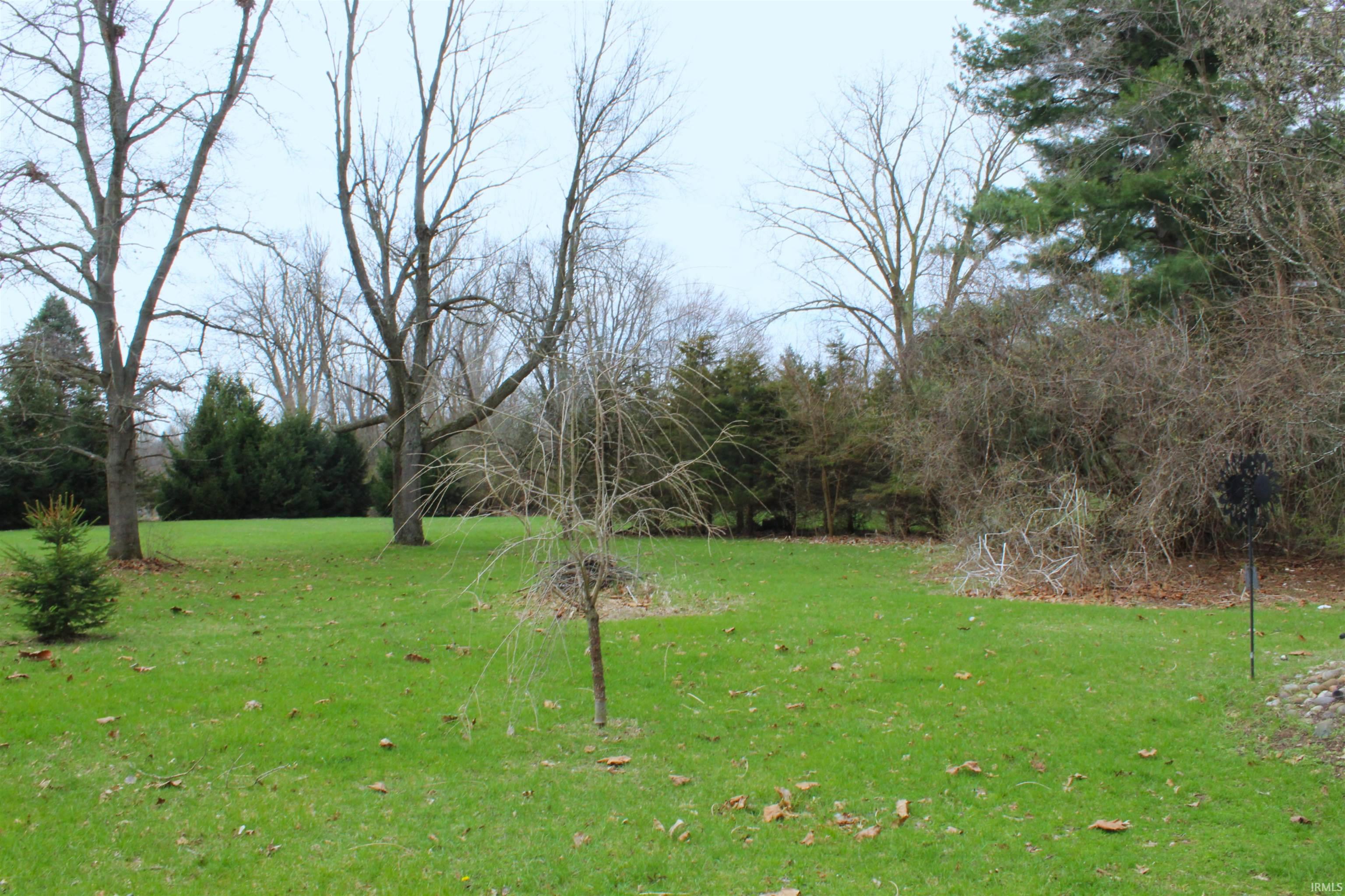 View of grassy yard