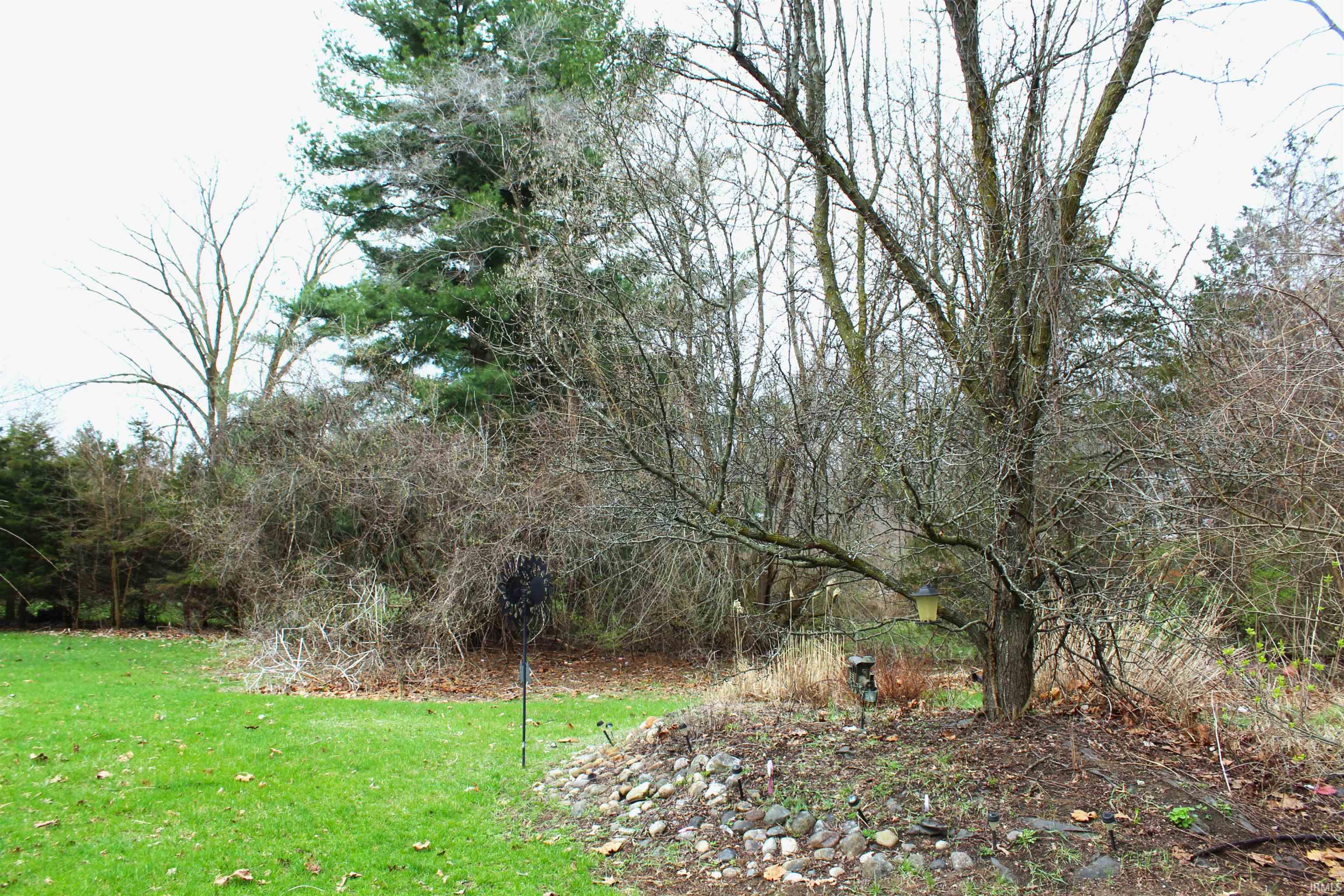 View of grassy yard