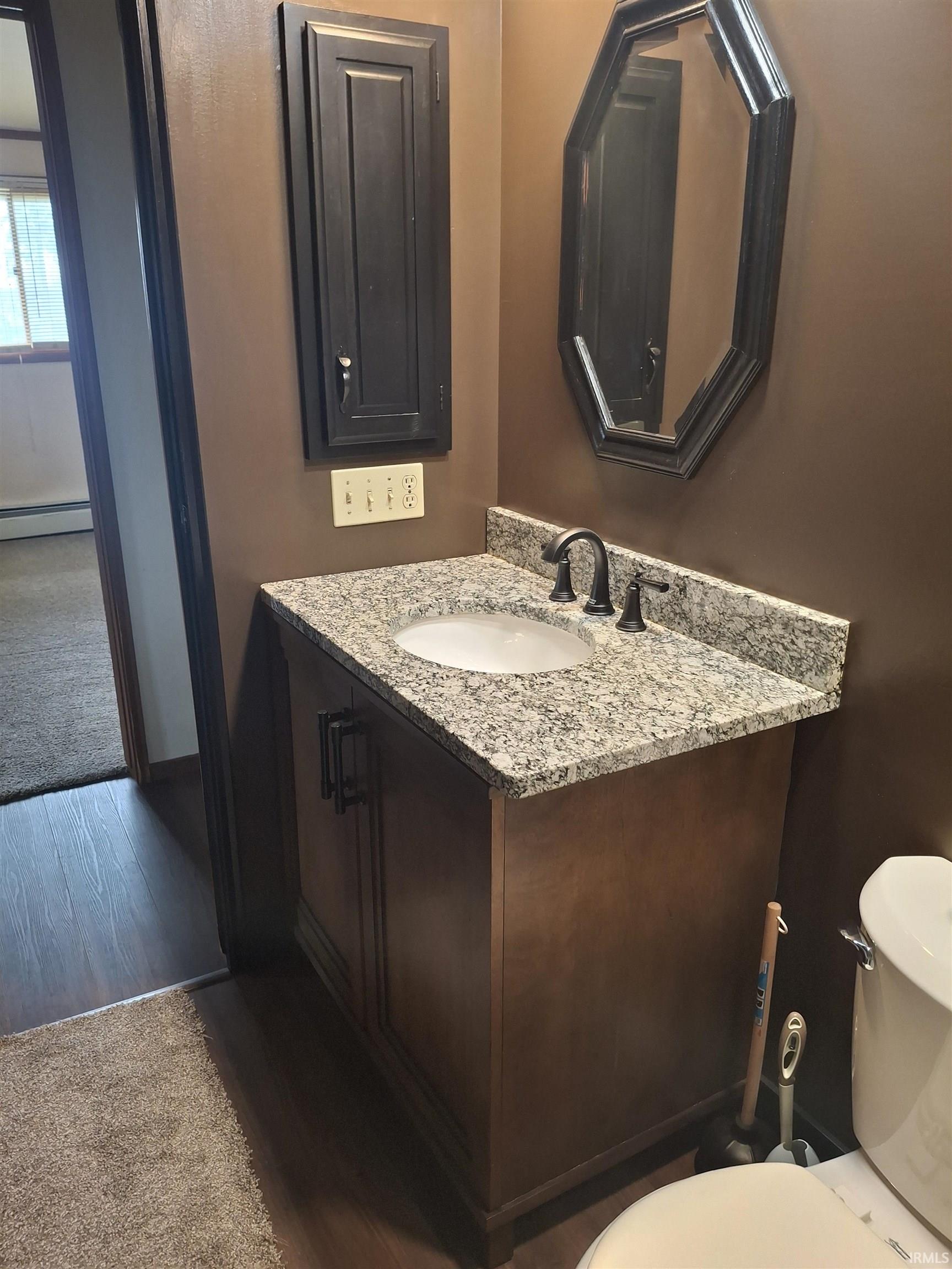 Bathroom with vanity, dark wood-style flooring, a baseboard radiator, and dark carpet