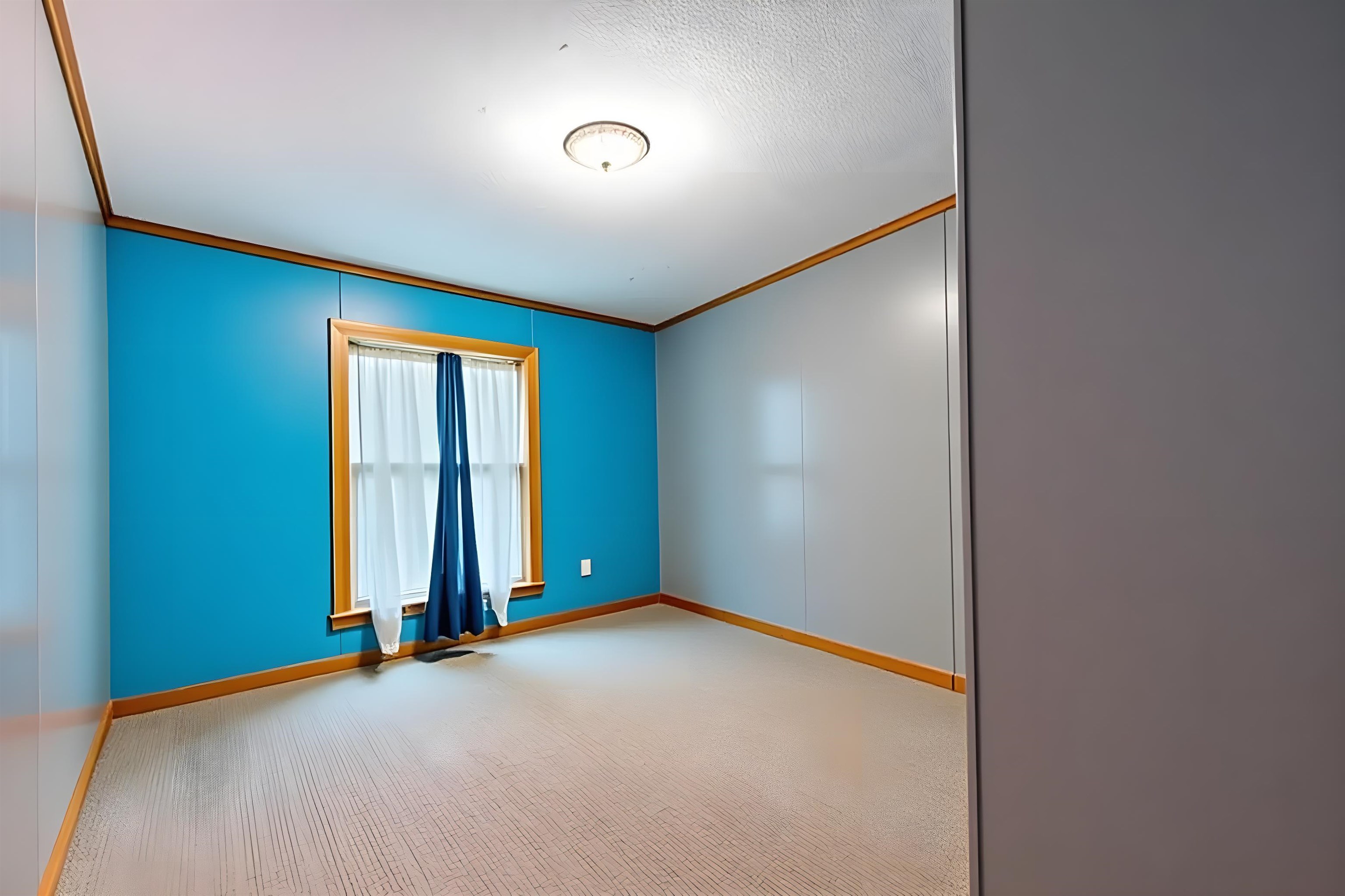 Unfurnished room with crown molding and light carpet