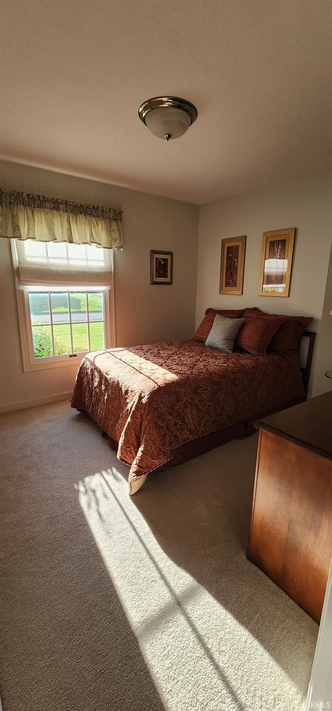 Carpeted room featuring a window with a valance, a flush-mount ceiling light fixture, and light-toned wall paint