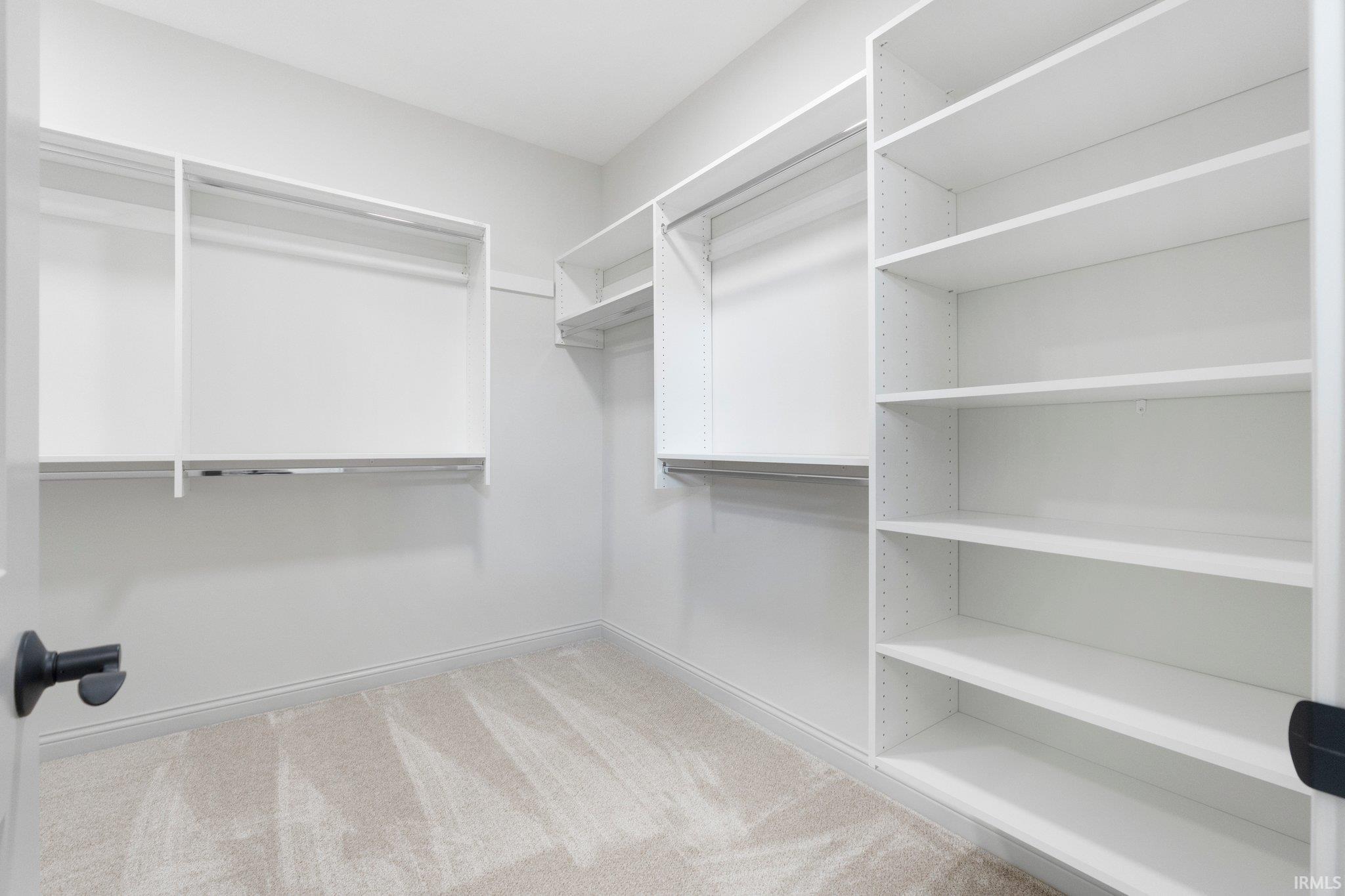 Spacious walk-in closet featuring light gray carpeting, white built-in shelving, and multiple hanging rods