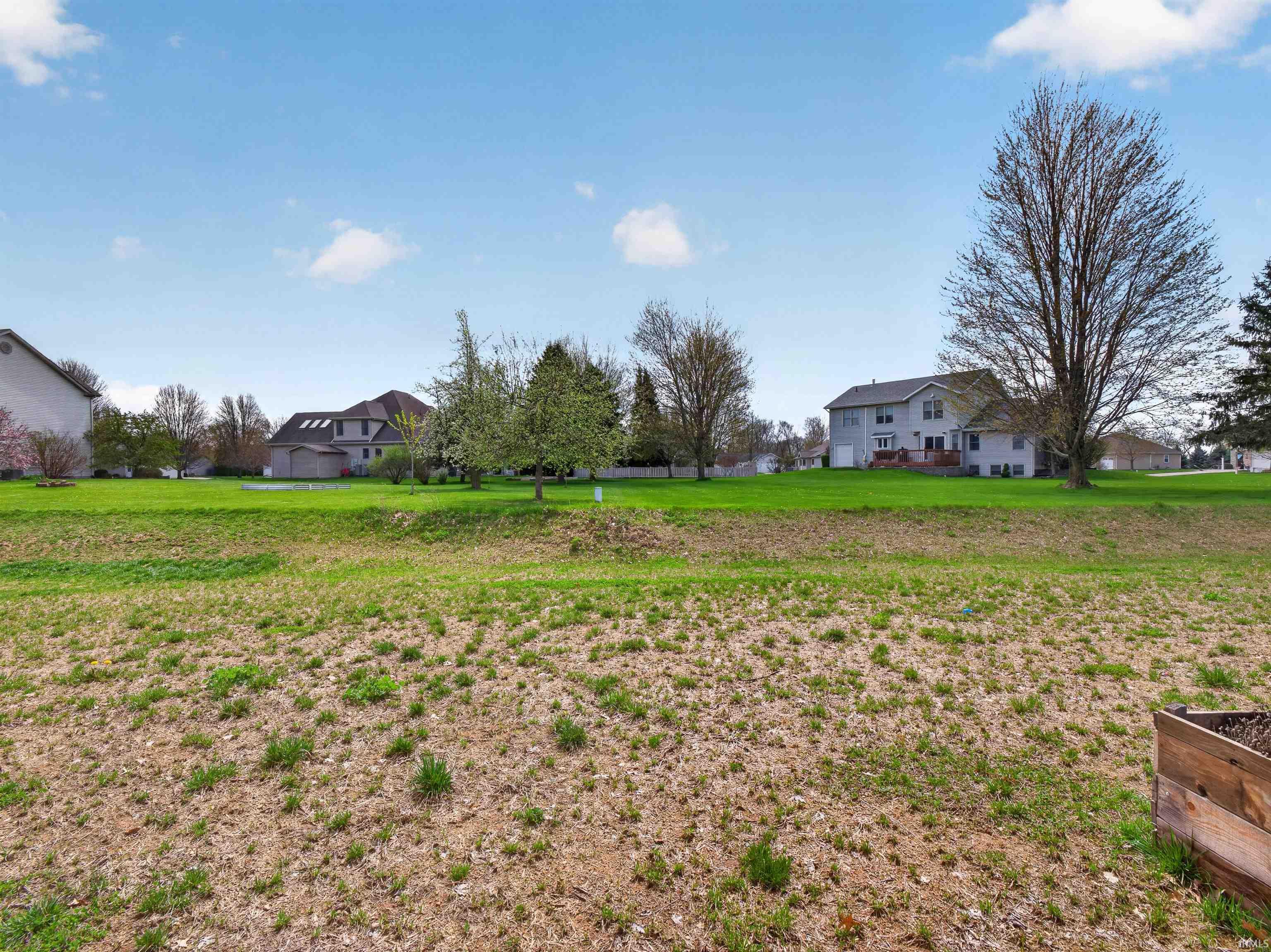 View of grassy yard