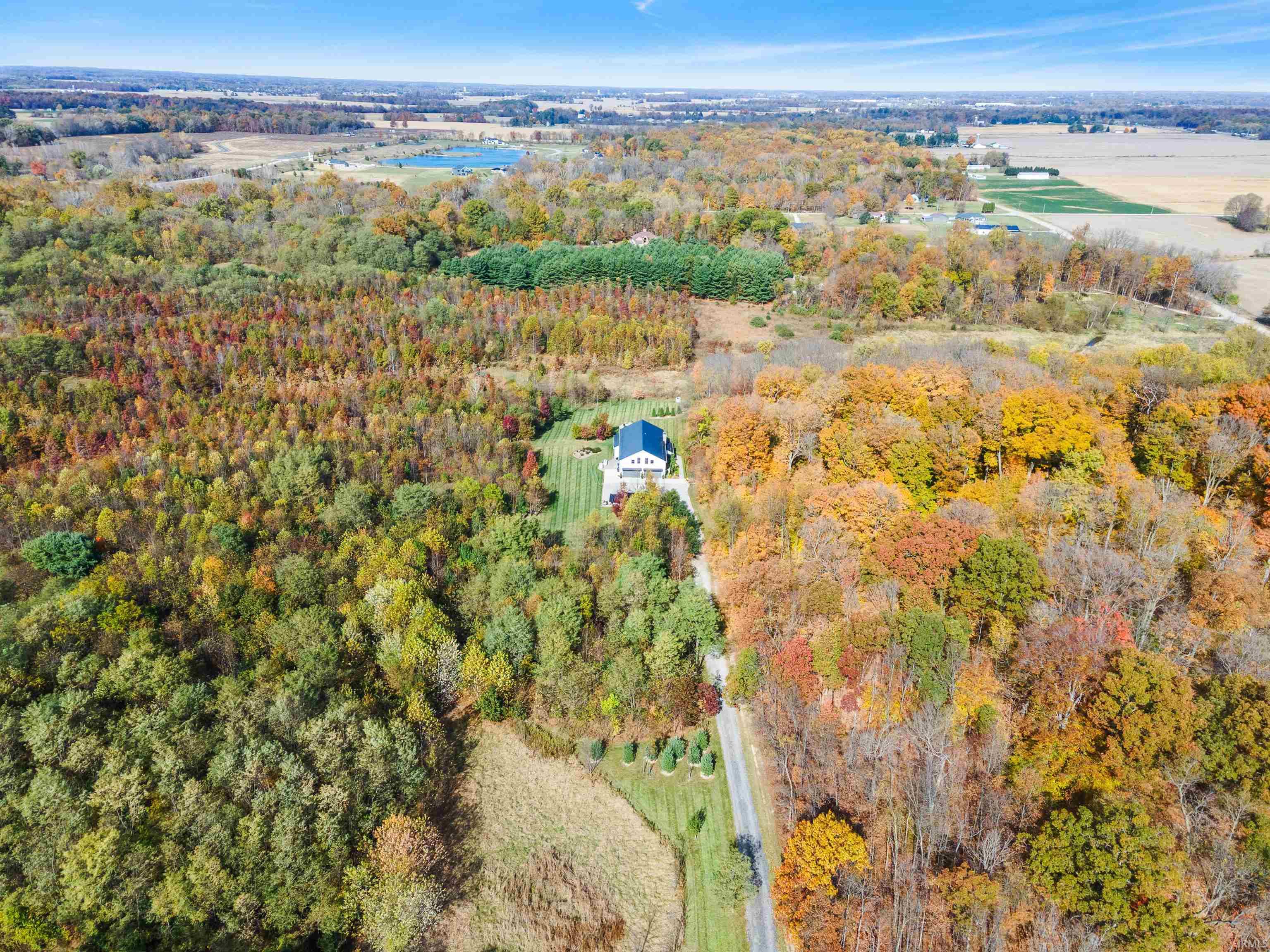 Bird's eye view of a forest