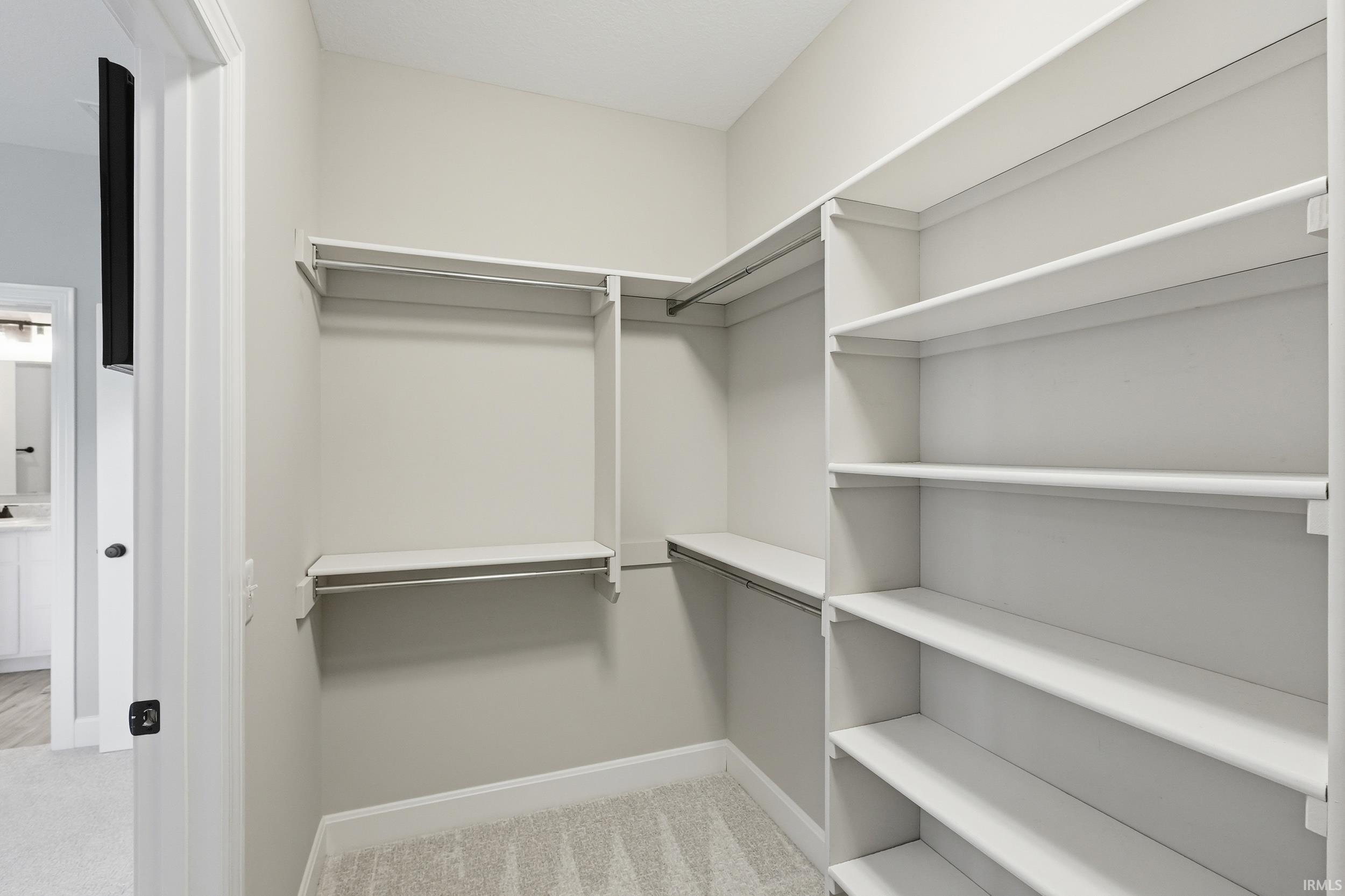 Walk in closet with light colored carpet