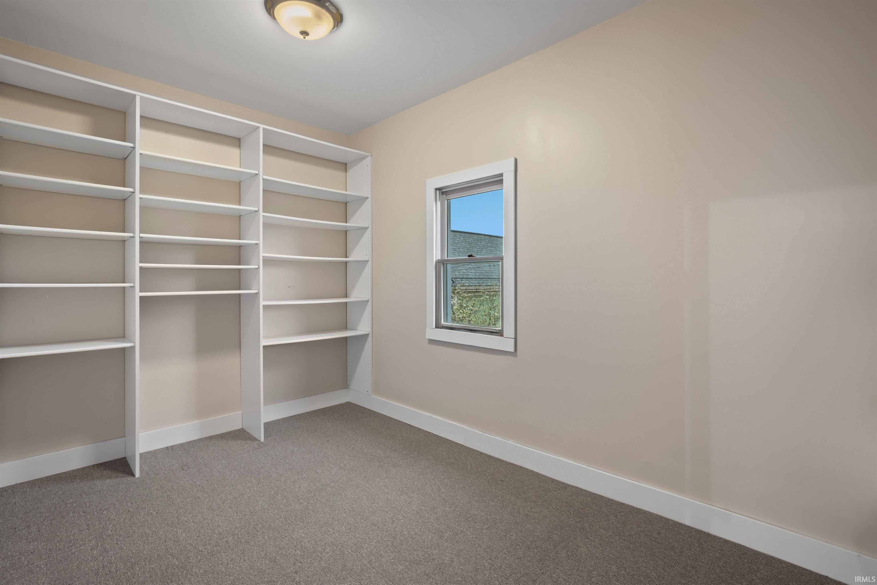 Walk in closet with light colored carpet
