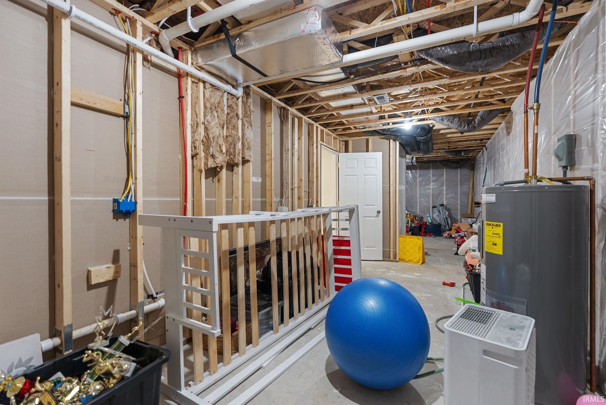 Unfinished below grade area with water heater