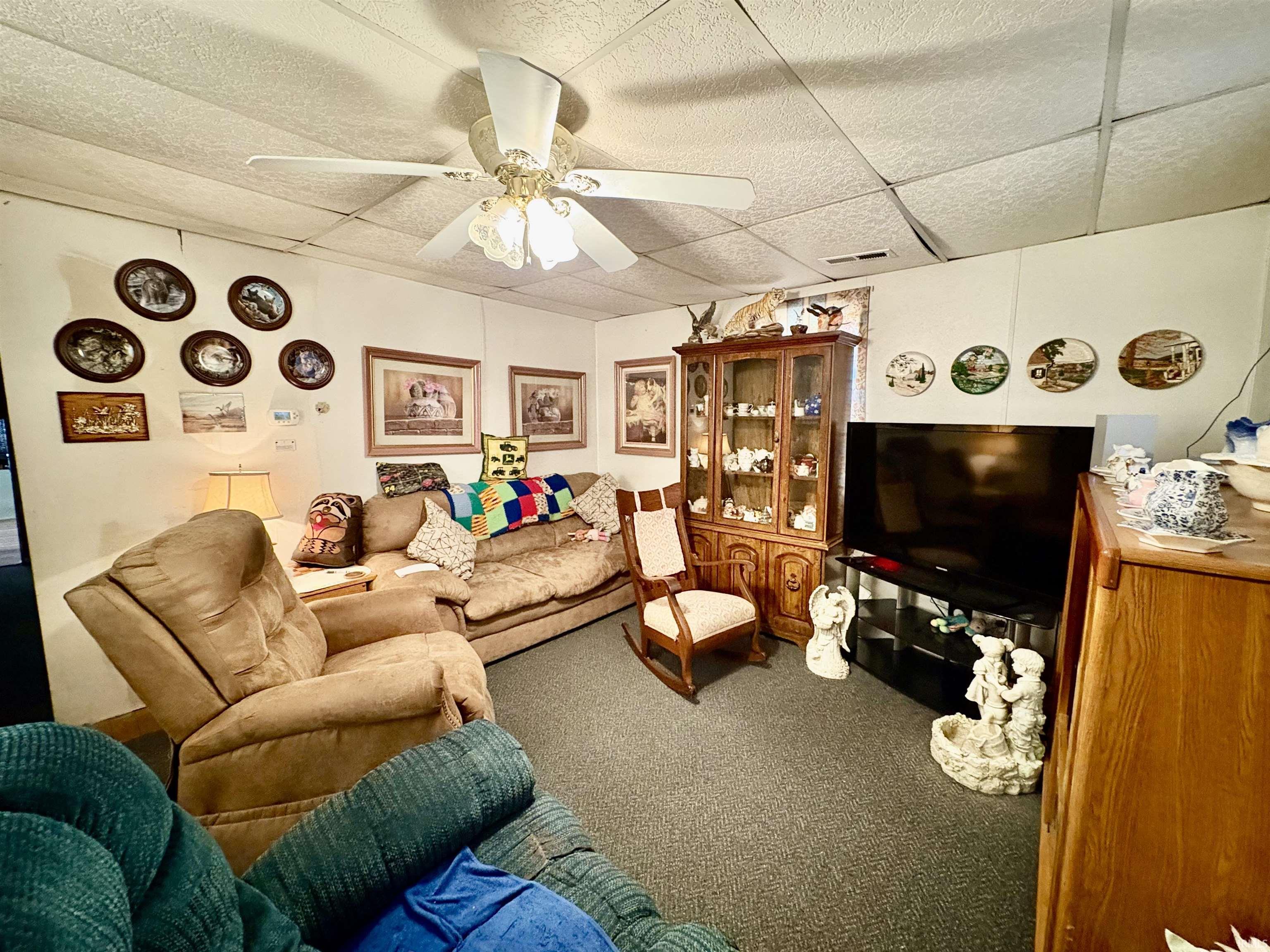 Living room with carpet floors, a ceiling fan, and a drop ceiling