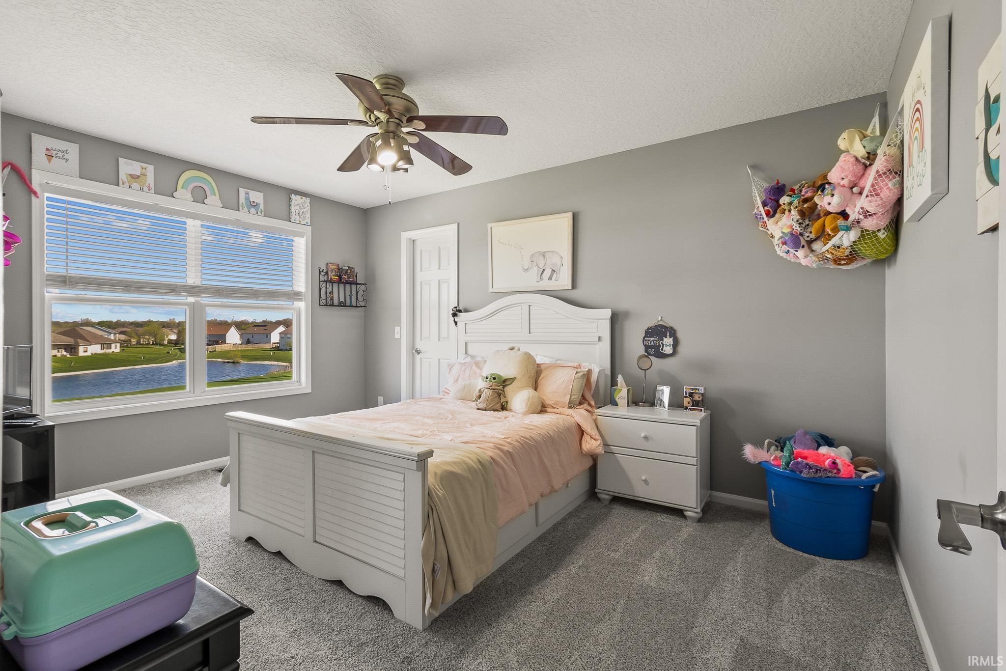 Bright interior space featuring a multi-pane window, ceiling fan with integrated lighting, textured carpeting, and painted walls