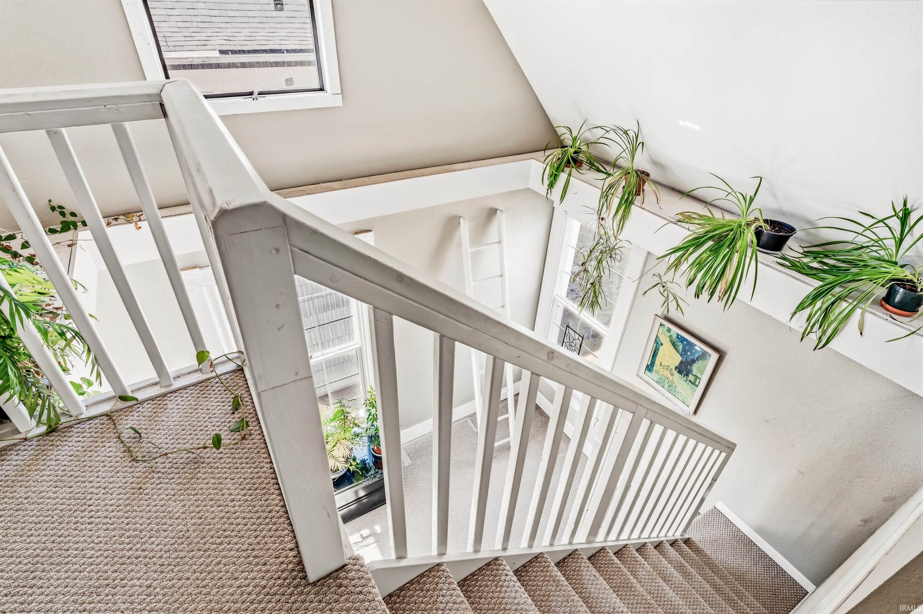 Staircase featuring carpet floors
