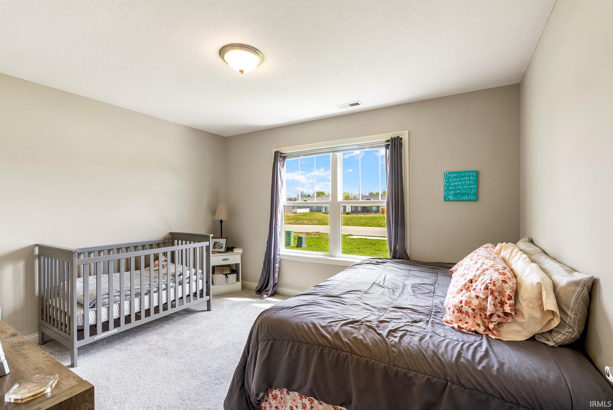 Spacious room featuring neutral wall tones, plush carpet flooring, a large window with white trim, and a ceiling-mounted light fixture