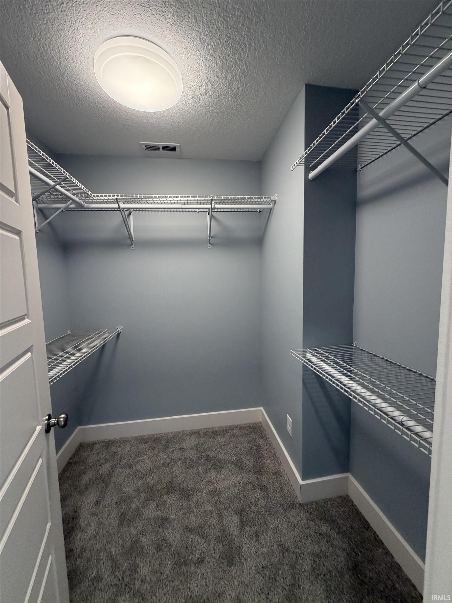 Walk in closet with dark colored carpet