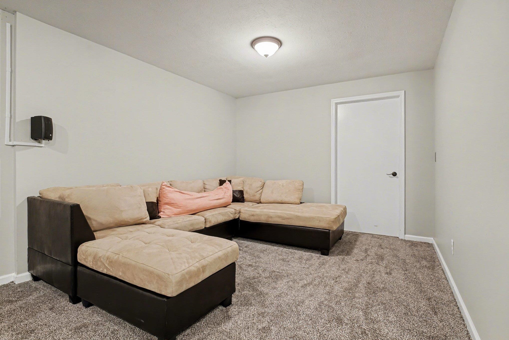 Carpeted room with light gray walls and white trim