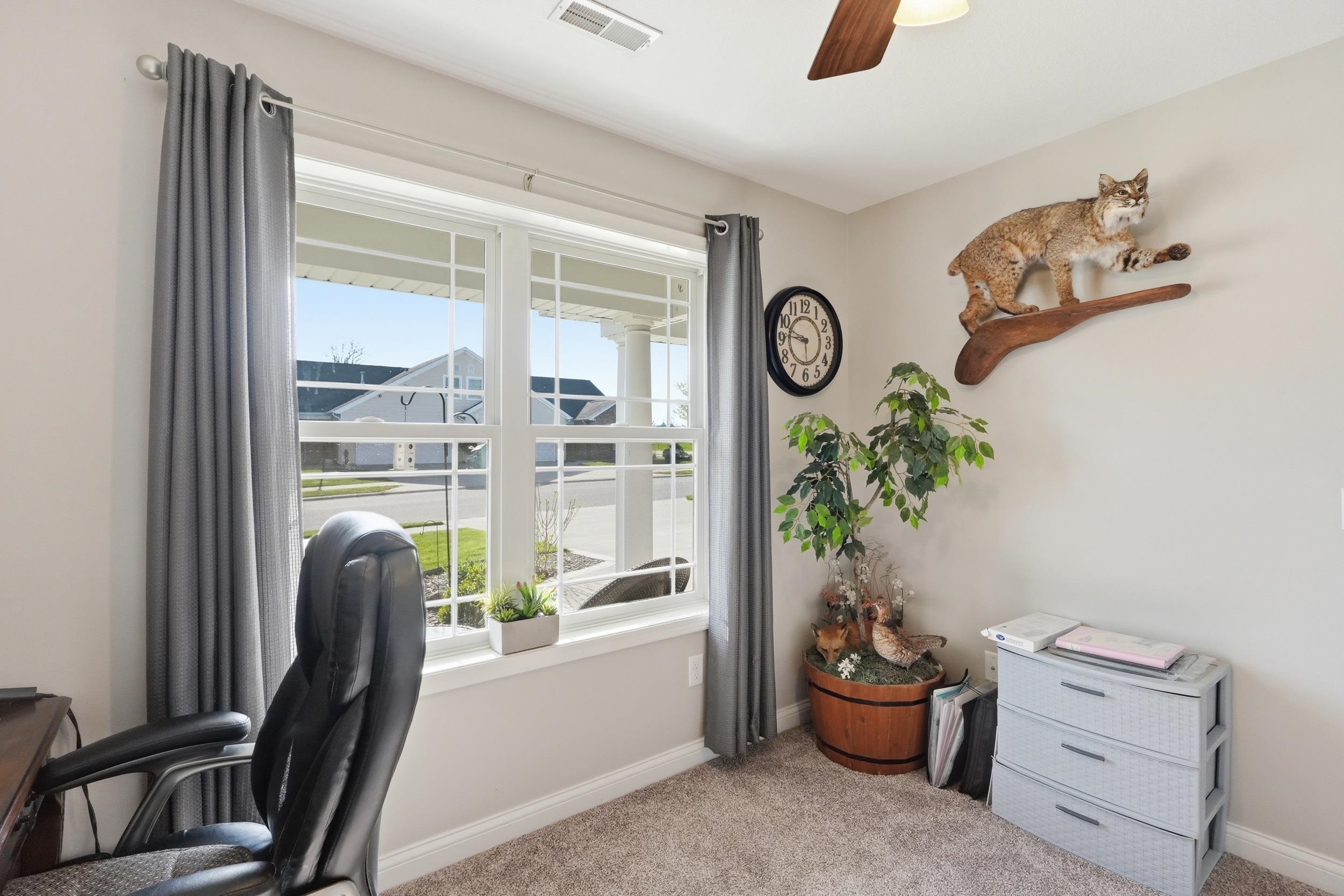 Carpeted room featuring a ceiling fan, white trim, and a window with white sashes and gray drapes