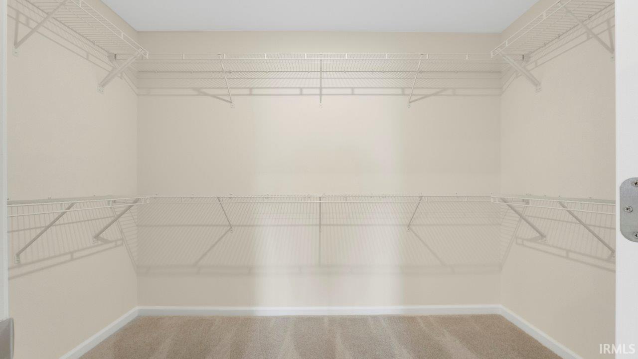 Walk-in closet featuring wire shelving, wall-to-wall carpeting, and neutral wall paint