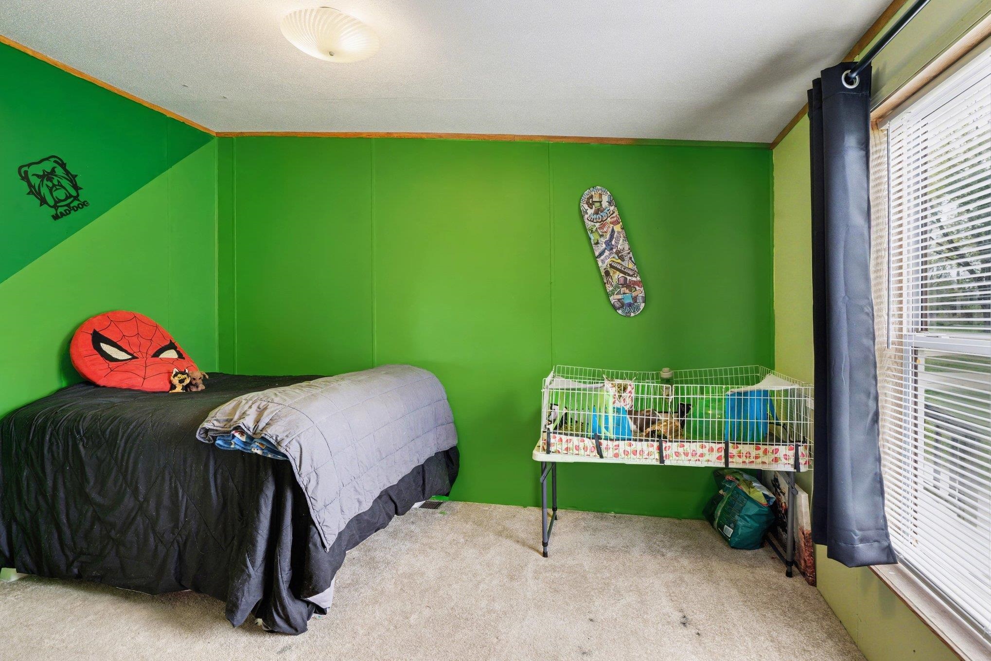 Bedroom featuring bright green walls, a single window with horizontal blinds, and carpet flooring