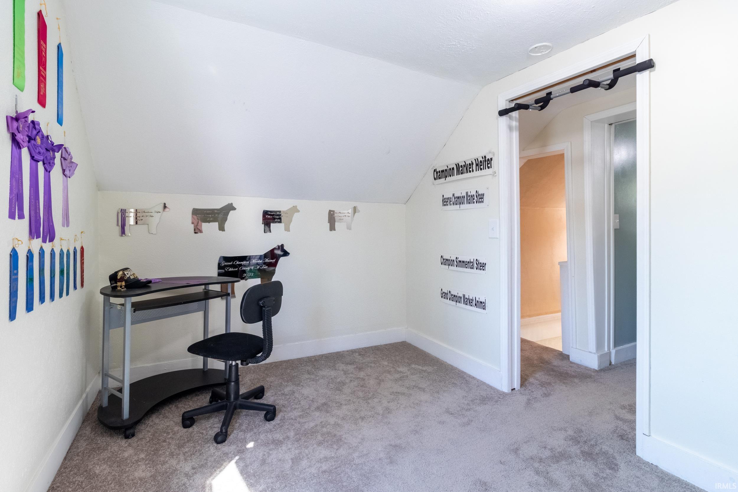 Carpeted room with sloped ceilings