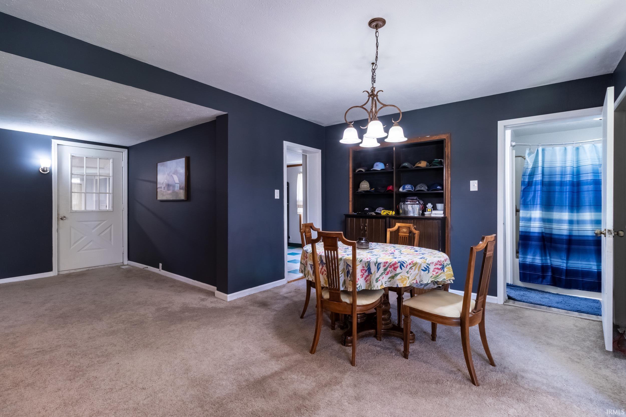 Carpeted interior space featuring dark-painted walls and a white ceiling