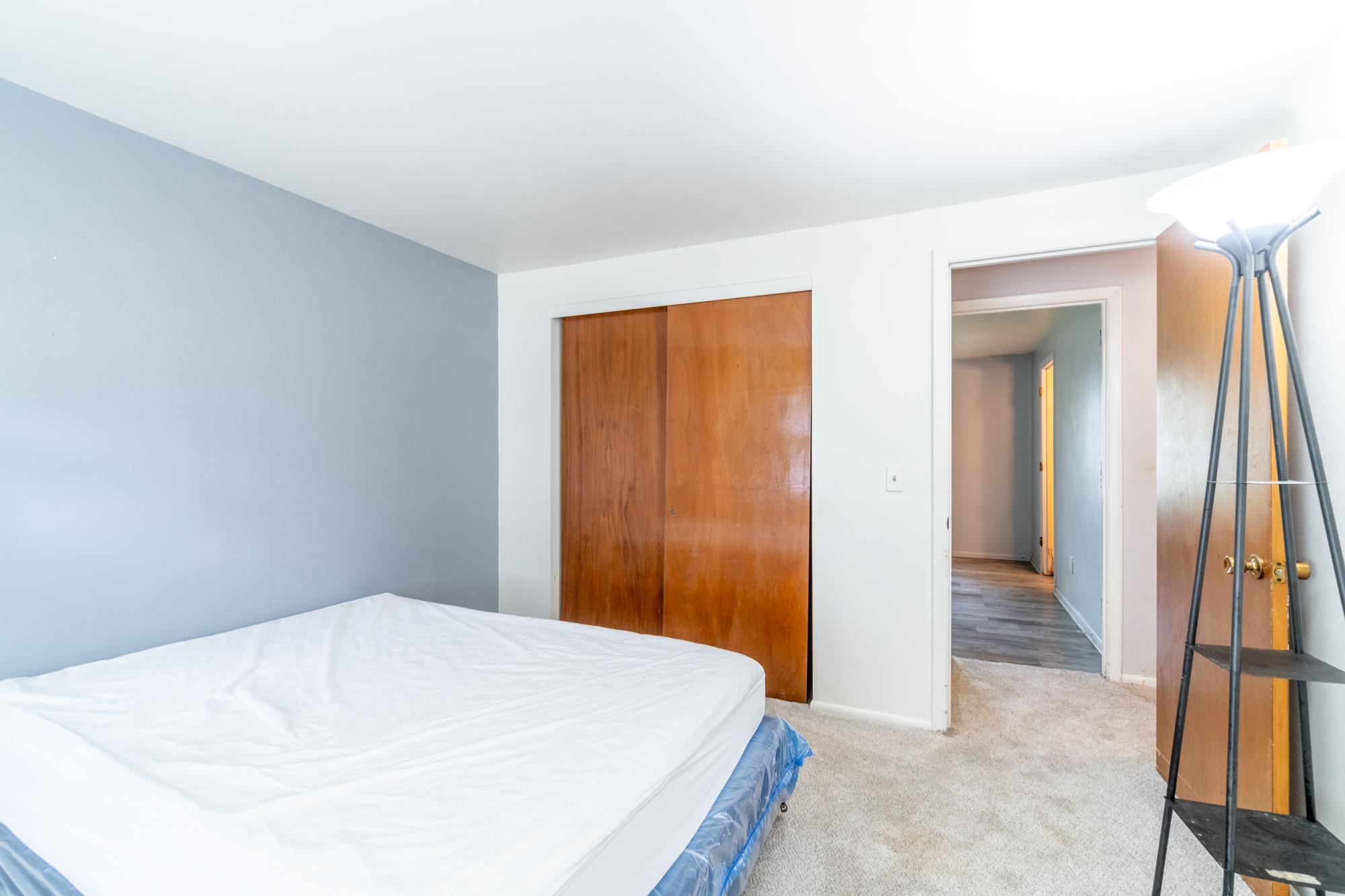 Neutral carpeted flooring with a contrasting accent wall