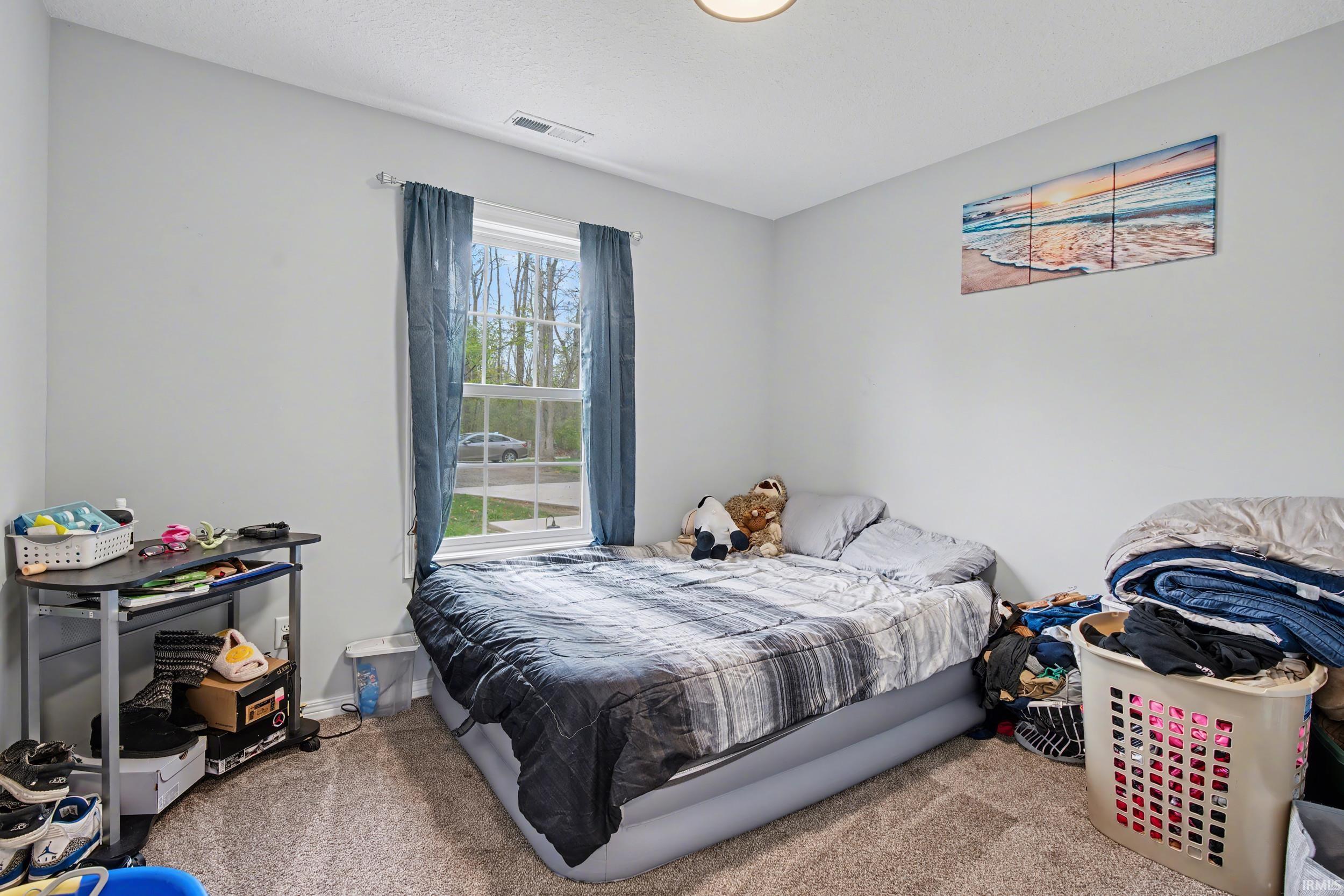 Carpeted bedroom featuring a single window with vertical paned glass, light-toned wall paint, and a ceiling-mounted light fixture