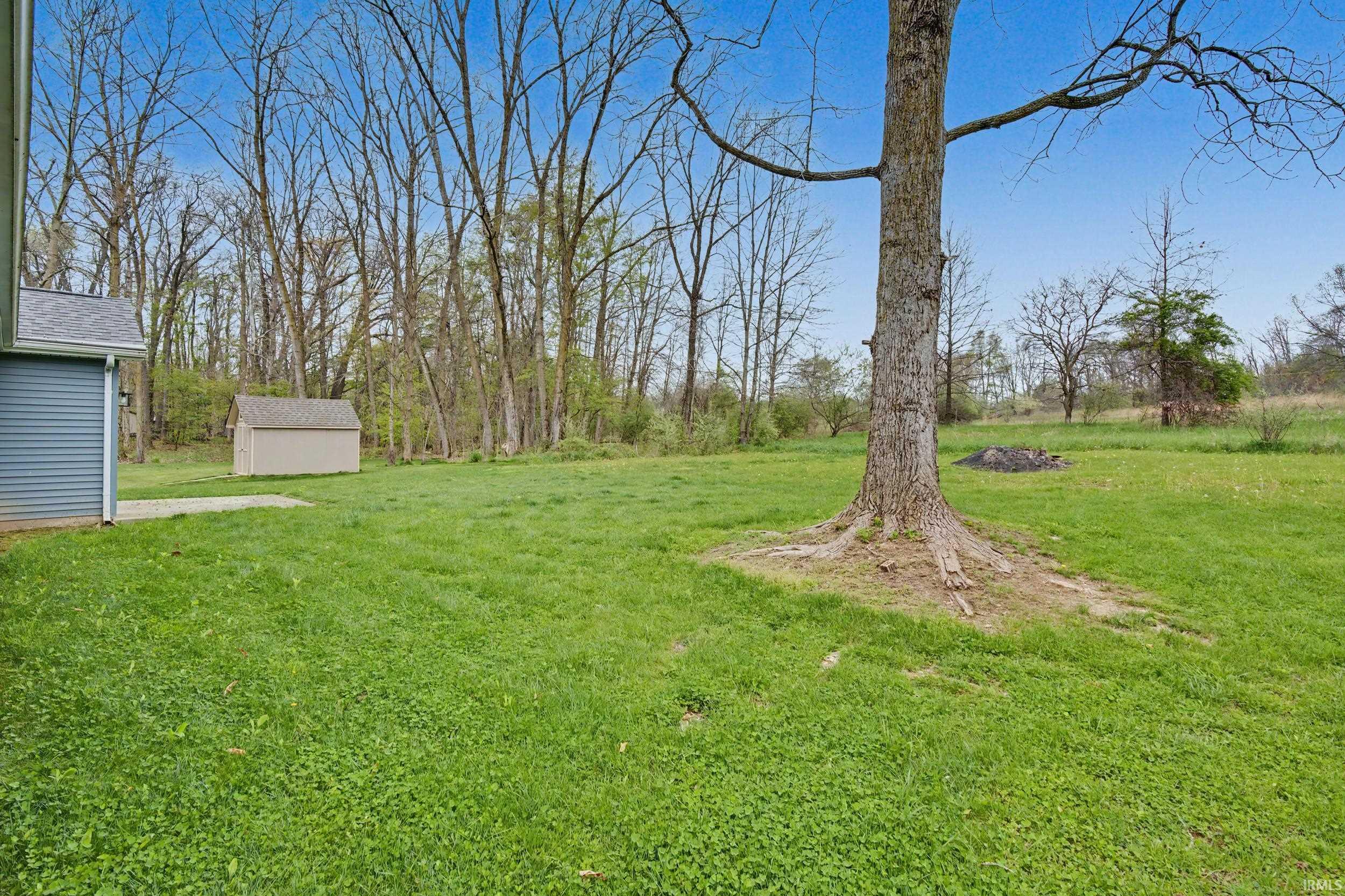Expansive grassy area featuring a large mature tree, a detached storage shed, and a wooded perimeter