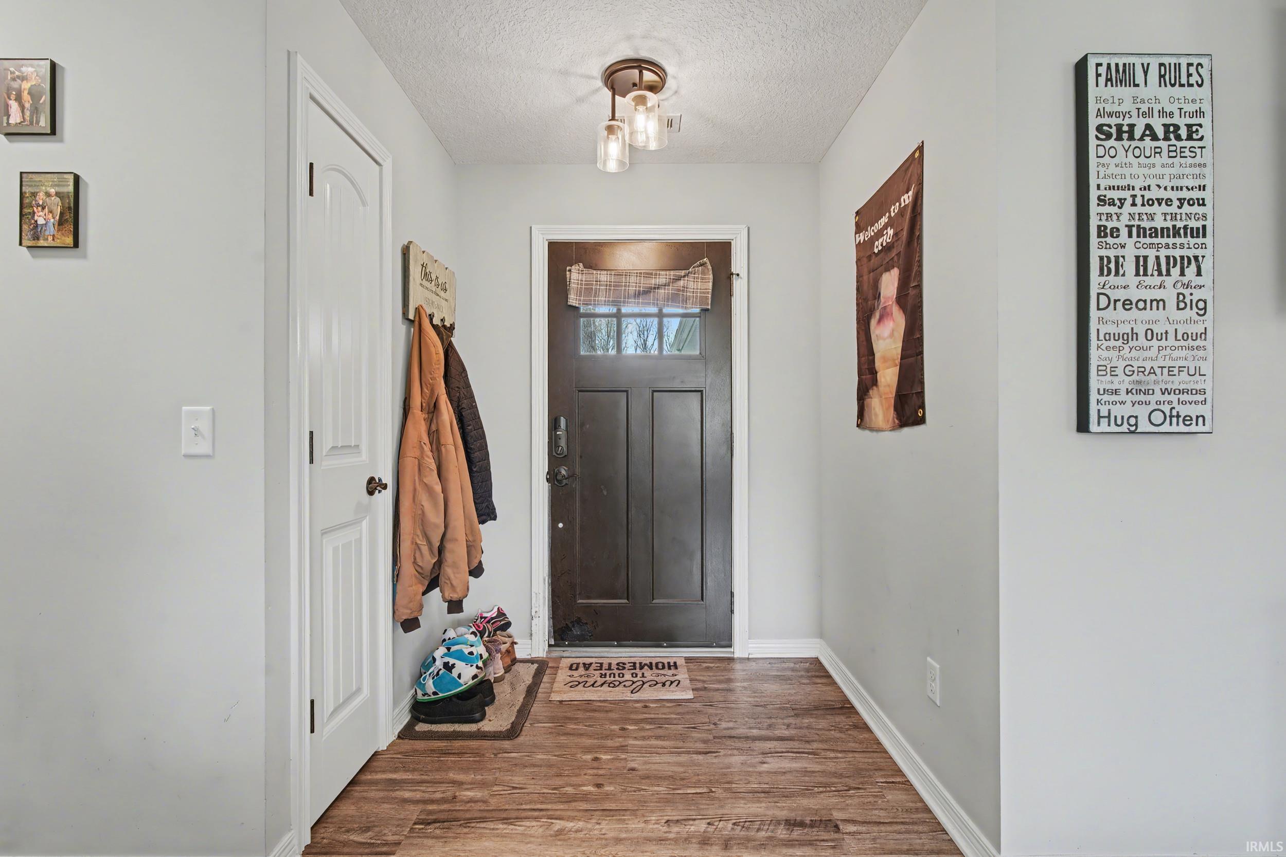 Entryway featuring wood-finish flooring, a dark-paneled front door with decorative glass, and a semi-flush mount ceiling light fixture