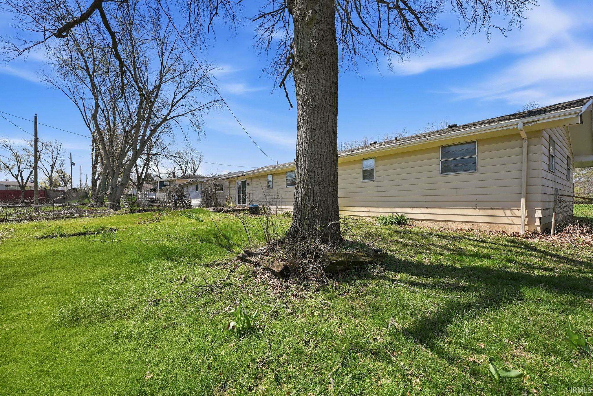 Expansive backyard with a mature tree