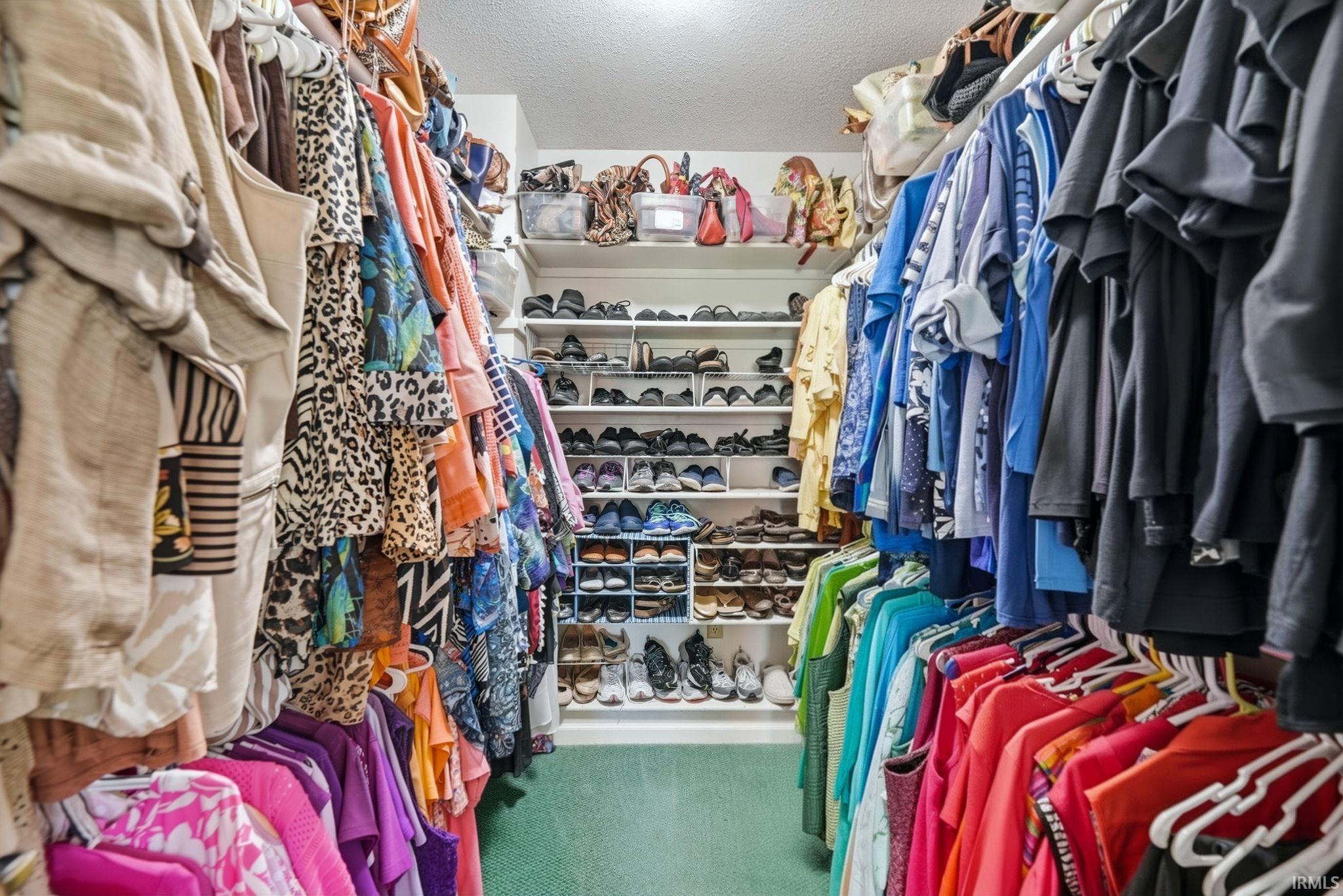 Walk in closet with carpet floors