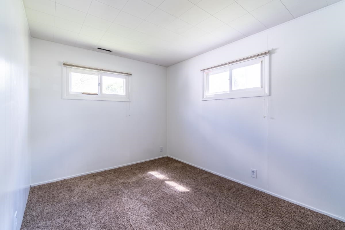 Carpeted room featuring two windows with white trim, white walls, and a white acoustic tile ceiling