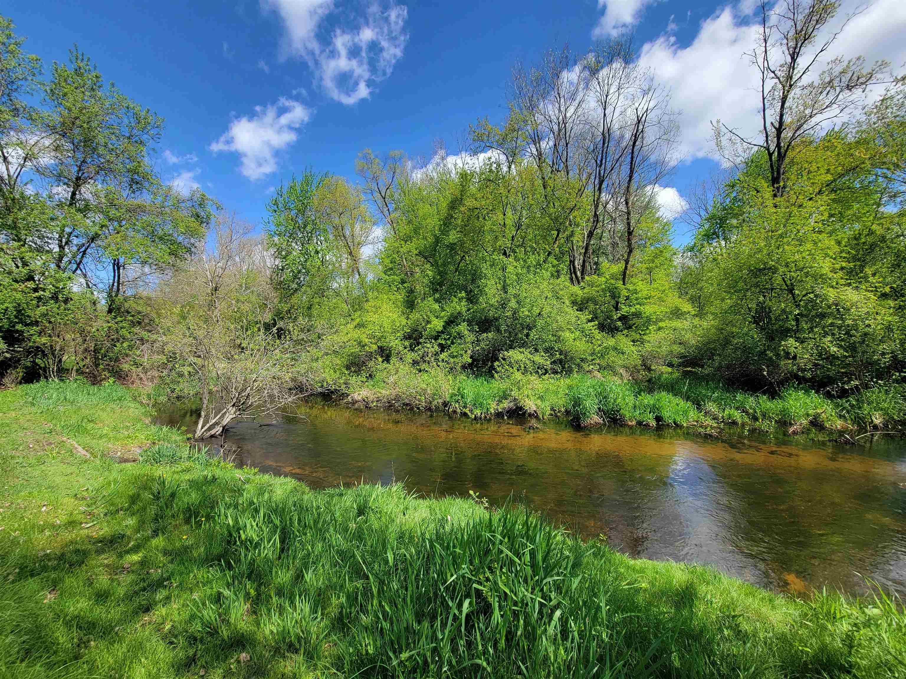Natural water feature bordered by lush green foliage