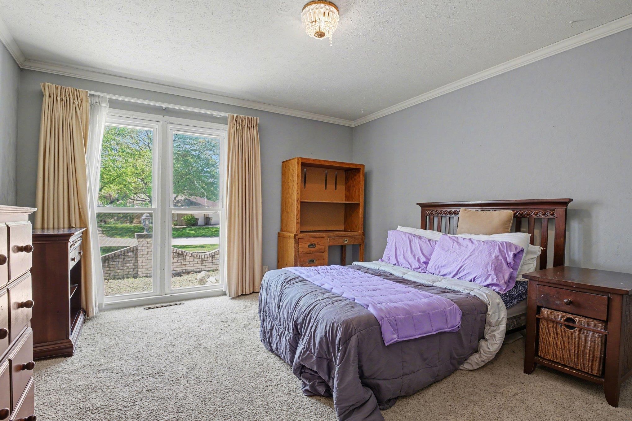 Carpeted room featuring a large window with exterior views, painted walls, crown molding, and a ceiling-mounted light fixture