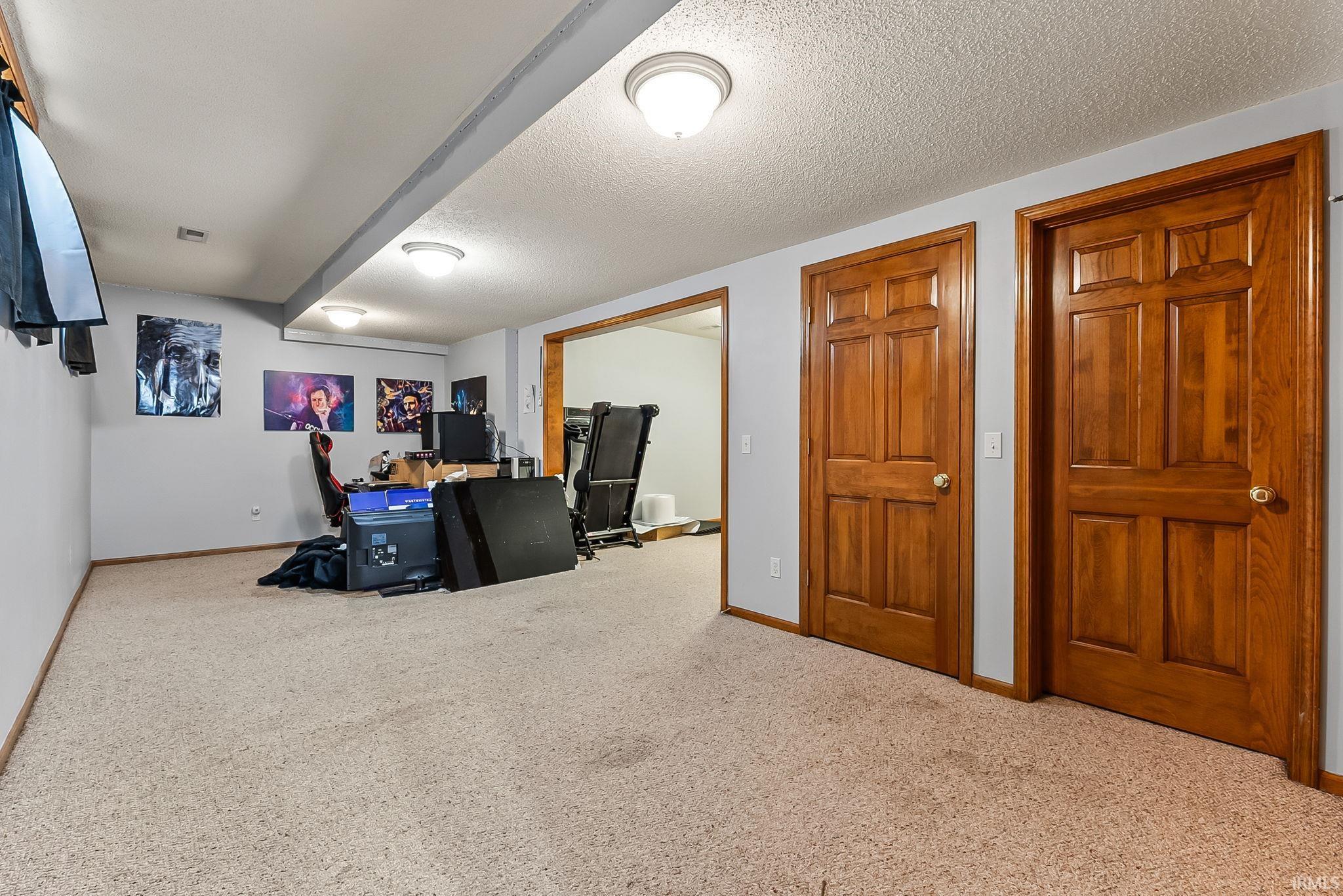 Carpeted interior space featuring light gray walls, two paneled wood-finish doors with brass hardware, and recessed ceiling lights