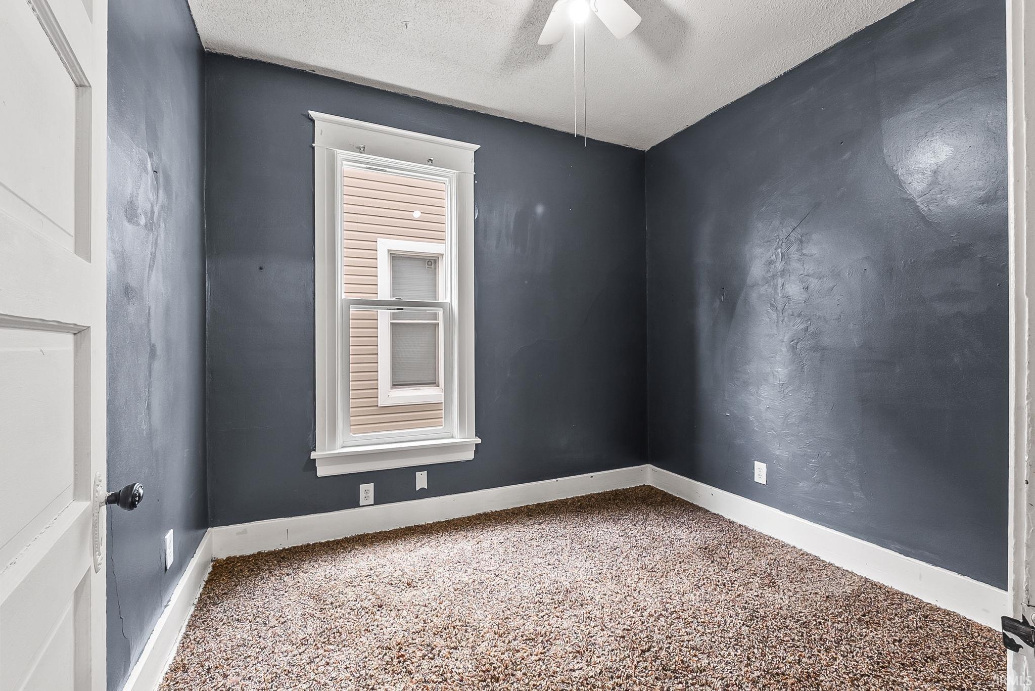 Room featuring a neutral-toned carpet, dark gray walls, and white trim