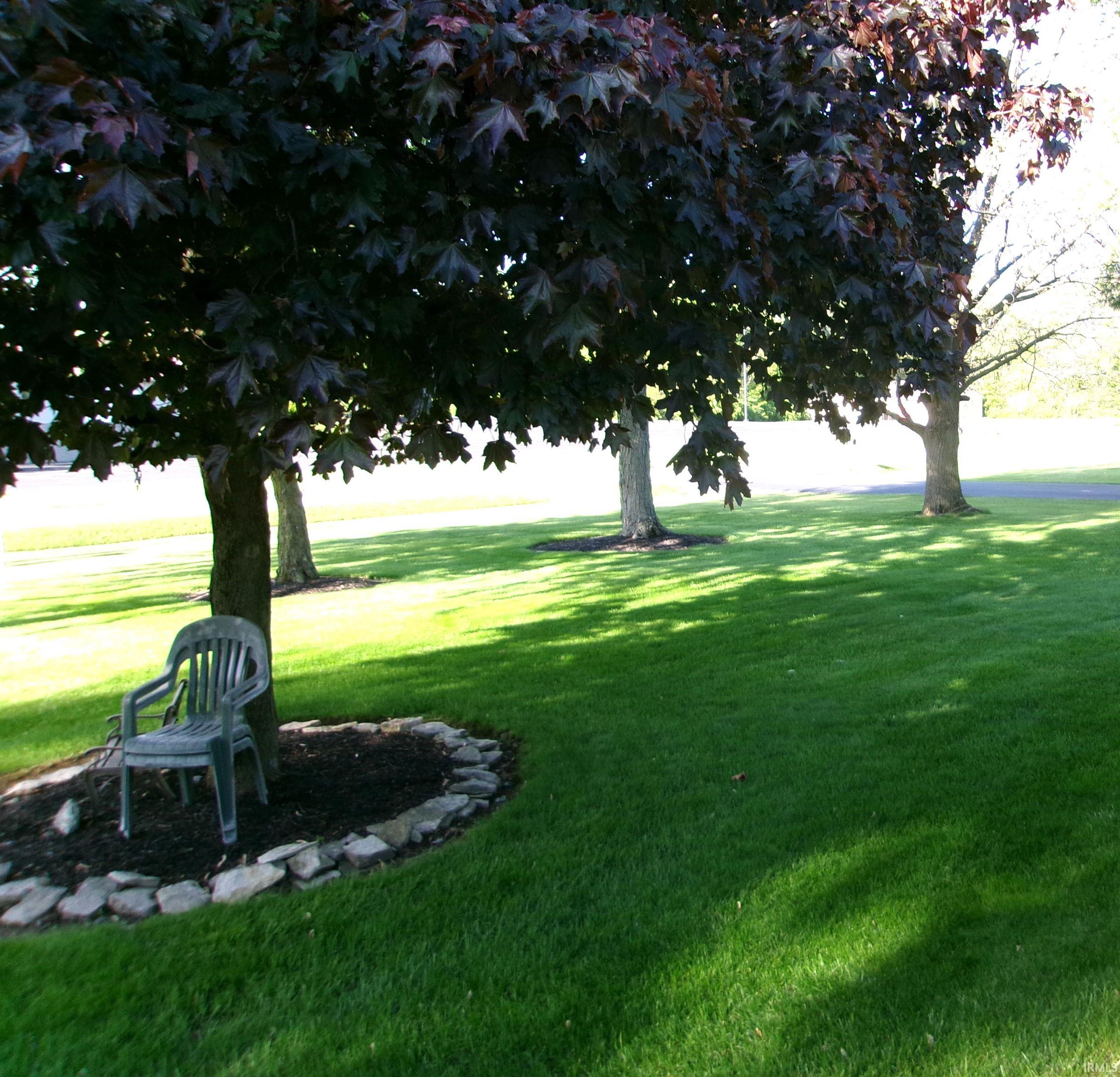 Expansive lawn area featuring multiple mature trees with dark foliage
