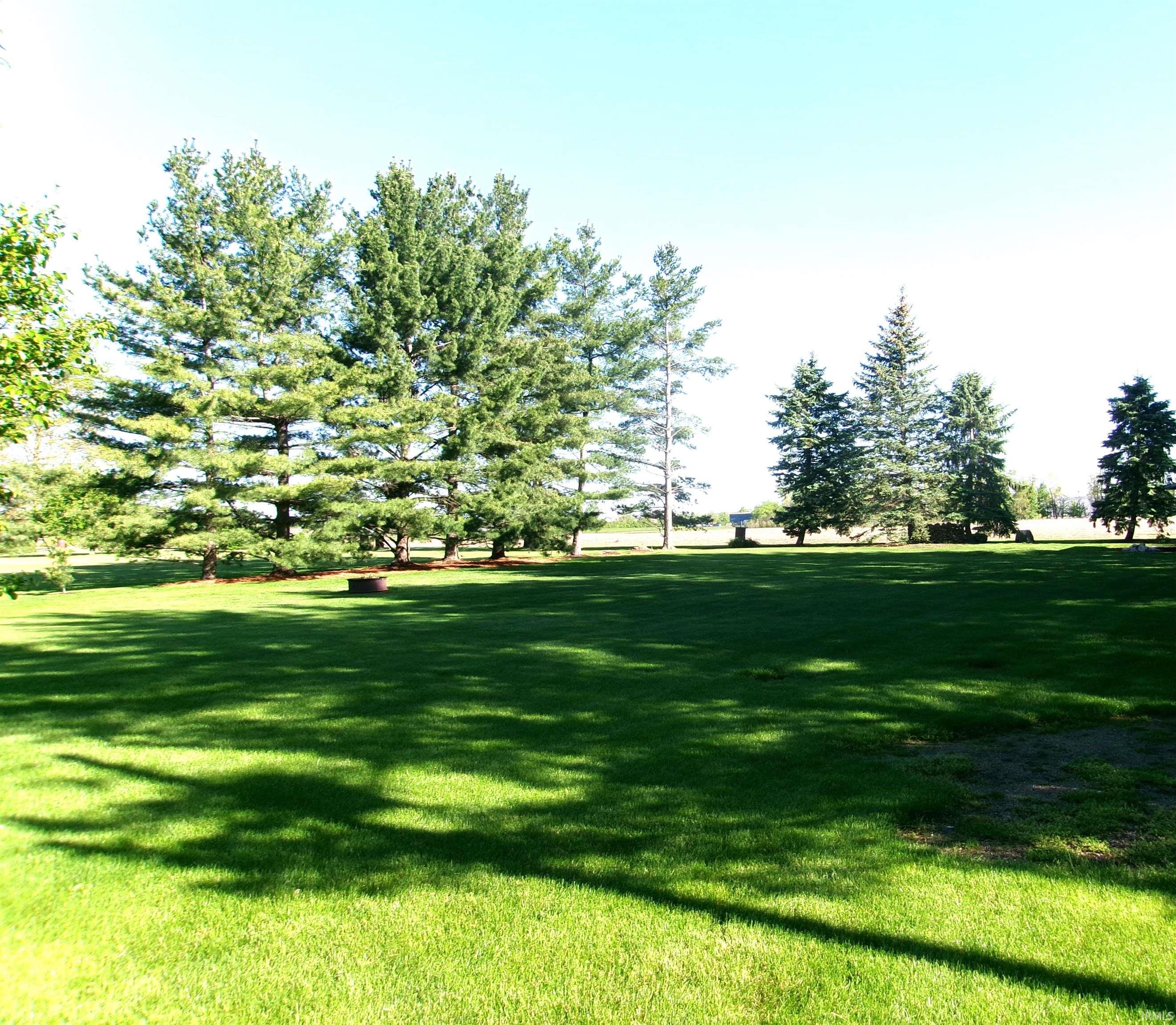 Expansive green lawn with mature evergreen trees providing natural shade