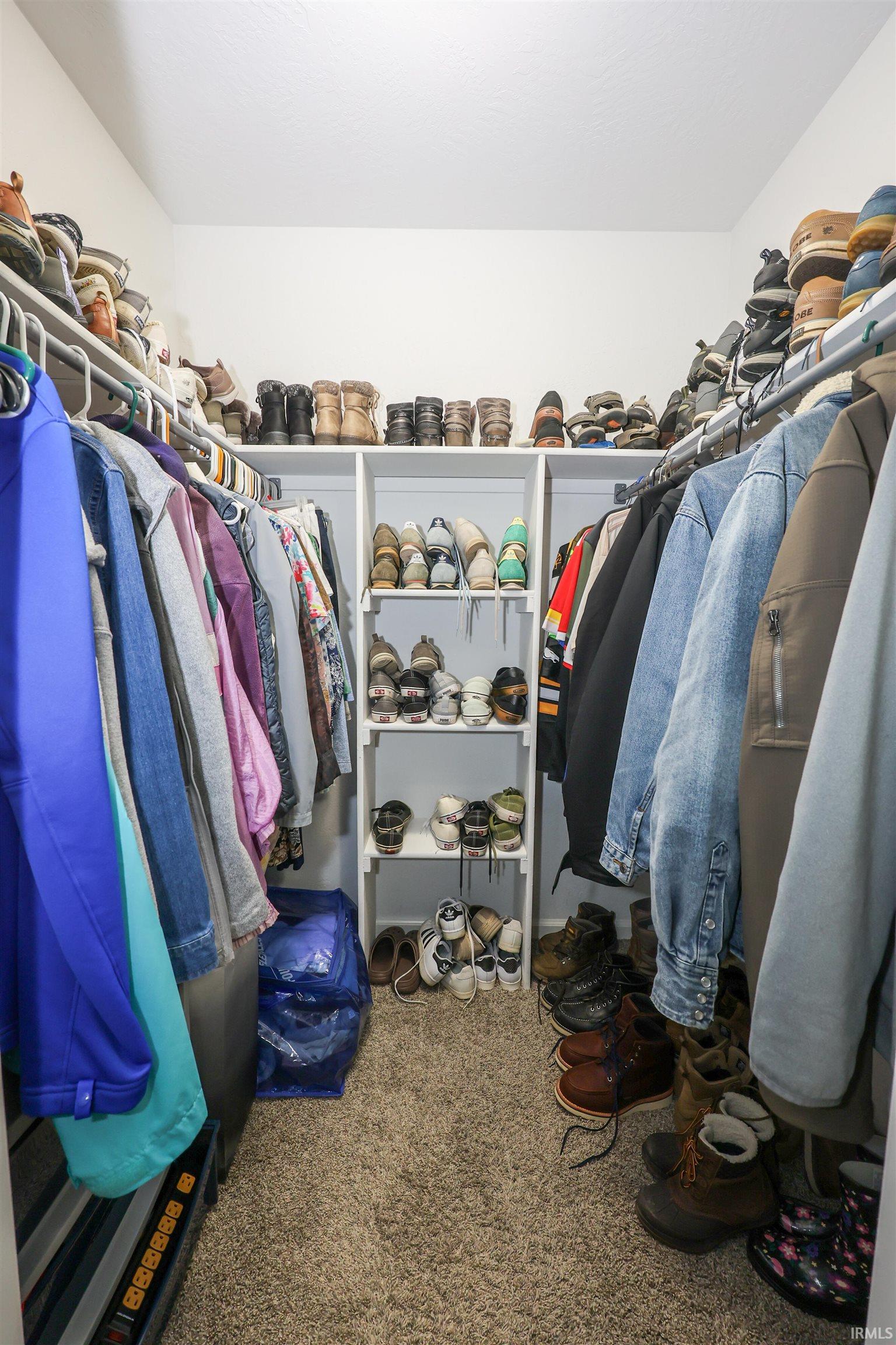 Walk-in closet featuring carpet flooring, built-in shelving, and clothes hanging rods