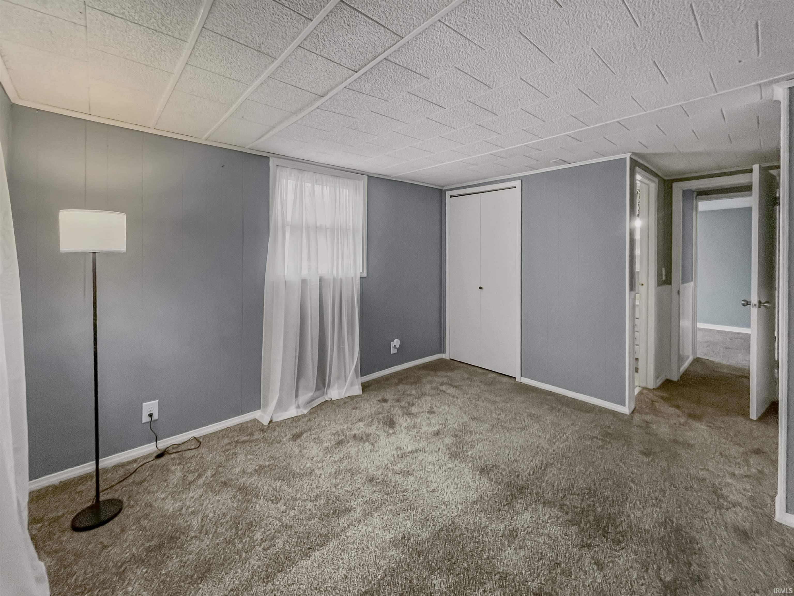 Carpeted room featuring light gray walls, a textured drop ceiling, a window with sheer white curtains, and a bi-fold closet door