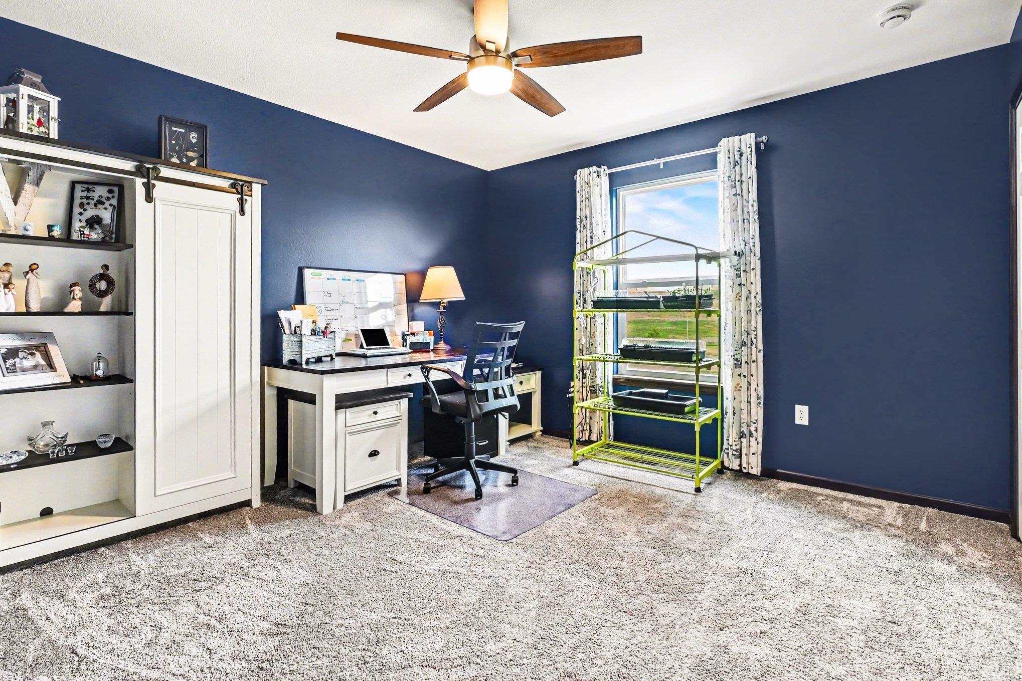 Expansive room featuring deep blue walls and light gray carpeting