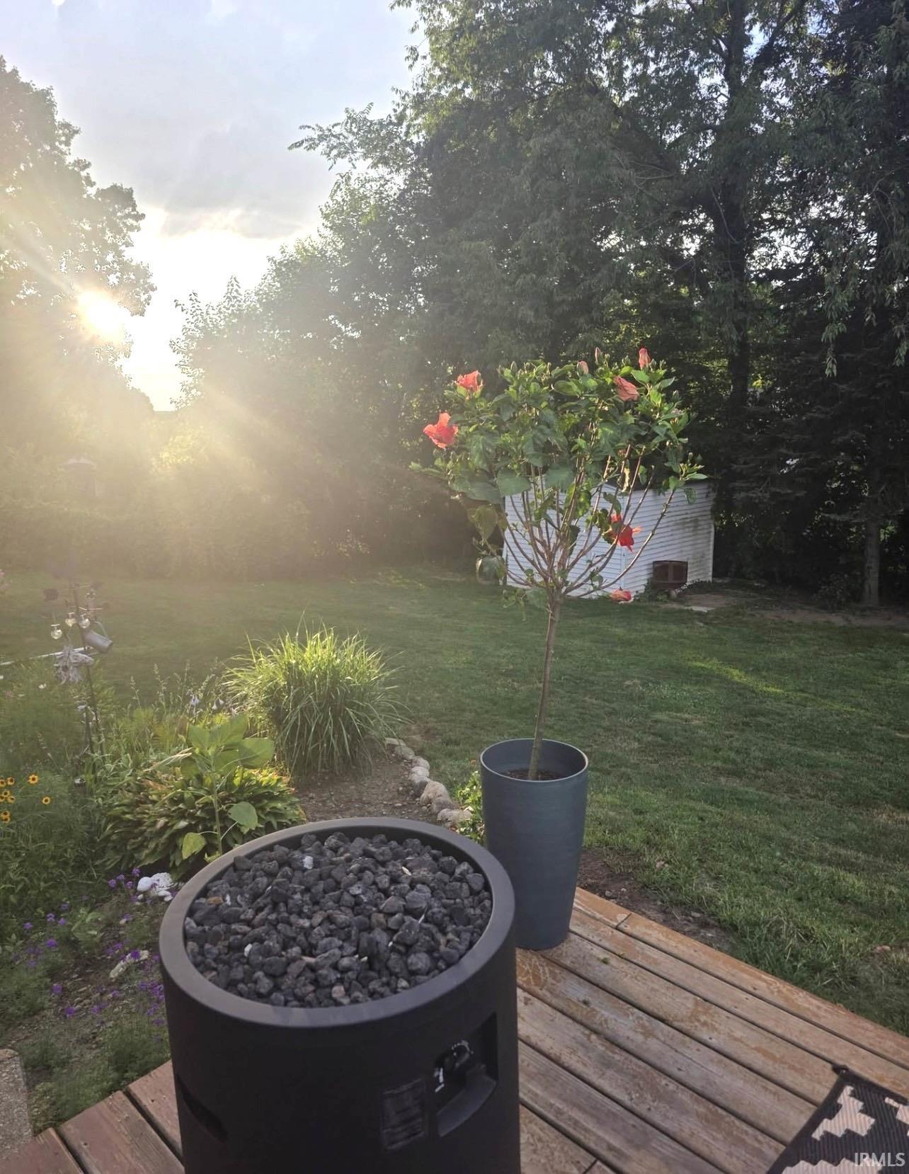 Yard
