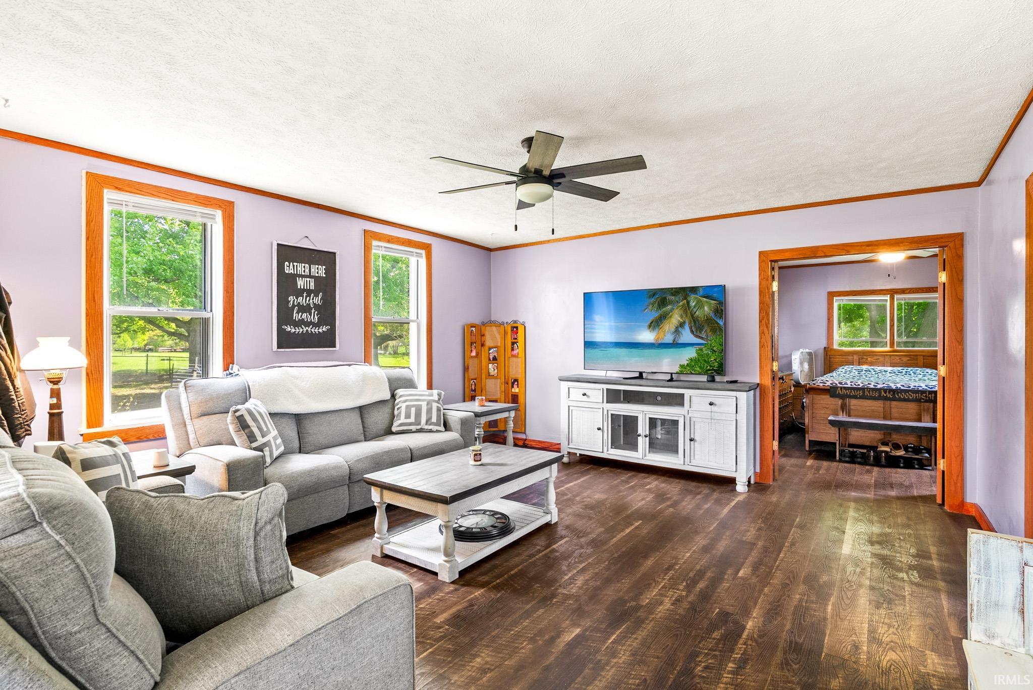 Spacious living area featuring wood-finish flooring, two large windows, a ceiling fan, and painted walls