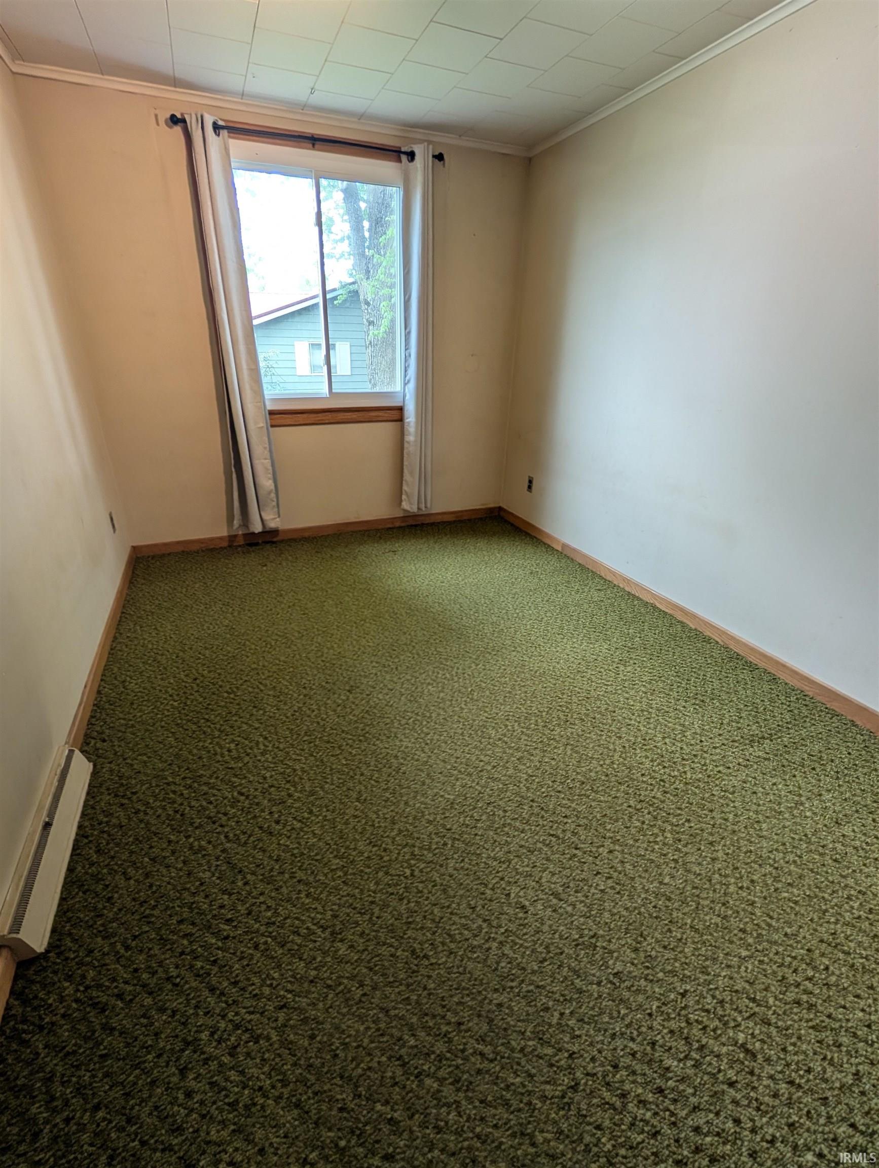 Room featuring green-hued carpet flooring, painted walls, and wood trim
