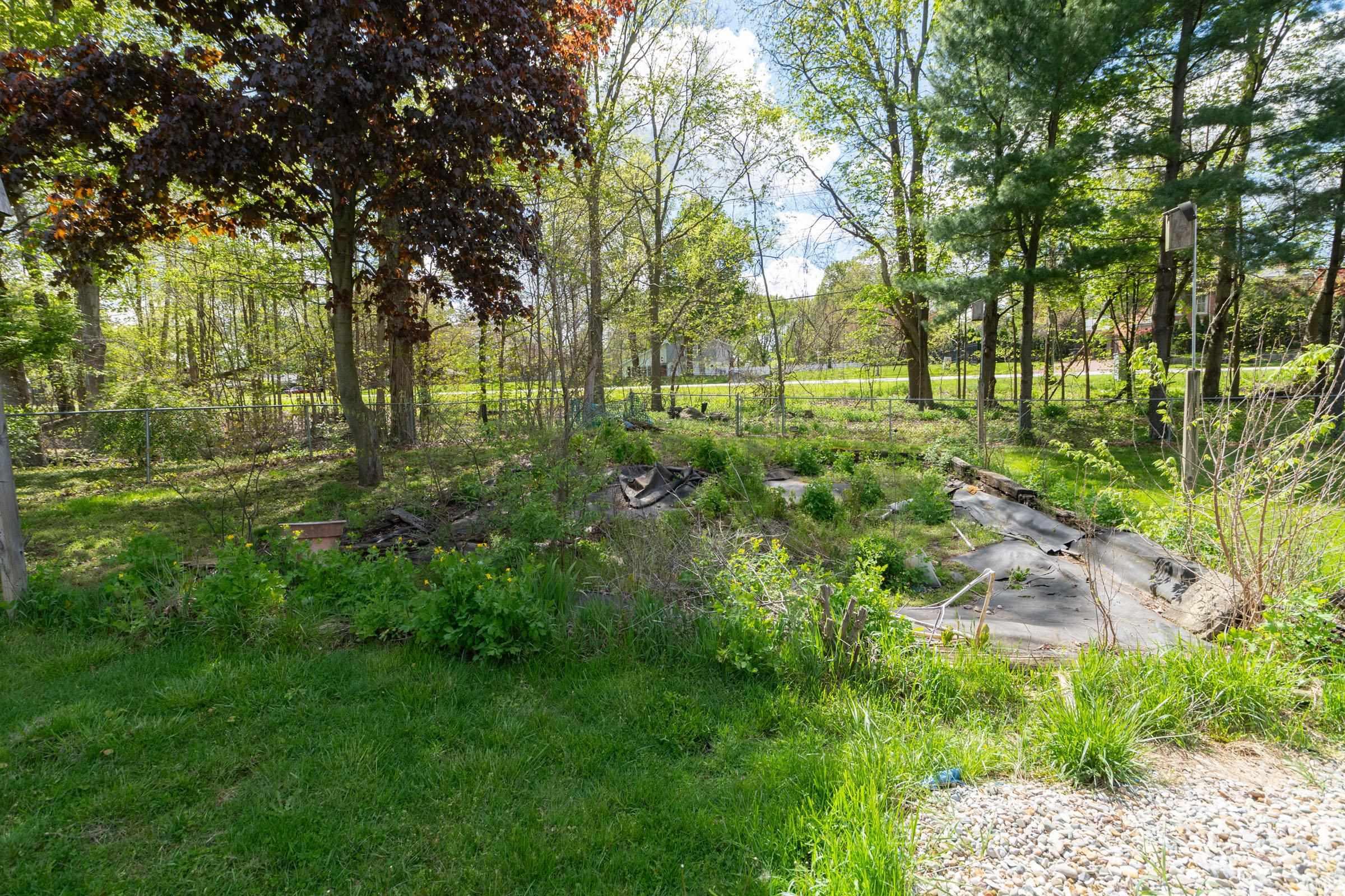 Expansive outdoor space featuring mature trees, a chain-link fence, and varied ground cover