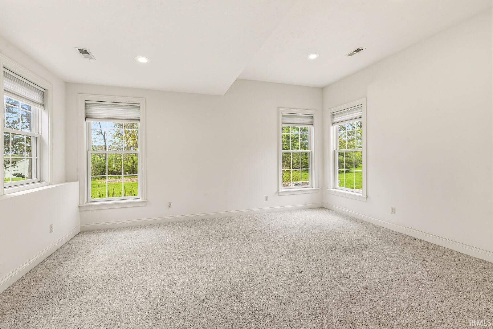 Lower Level - Bedroom