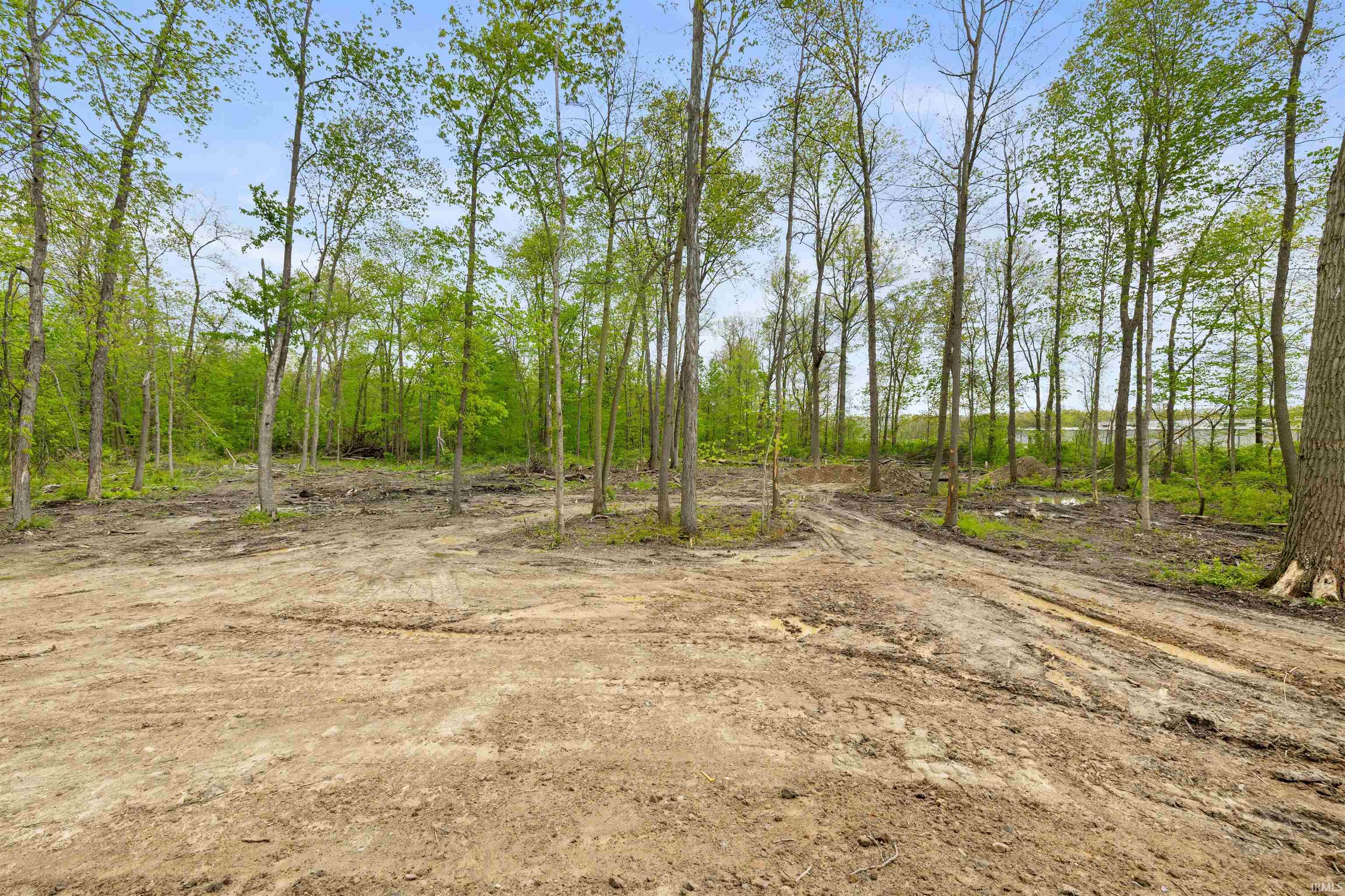 Expansive cleared lot with mature trees surrounding the perimeter